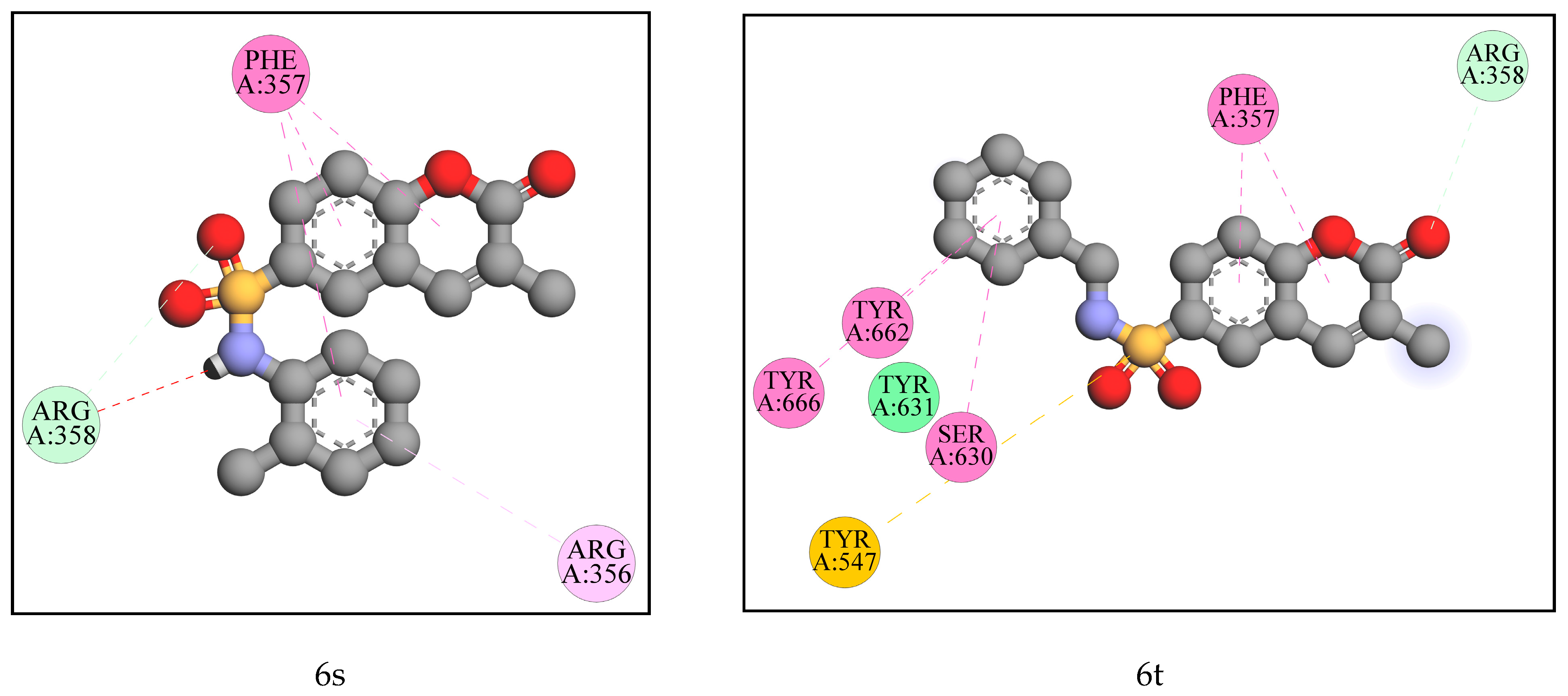 Molecules 28 01004 g006c