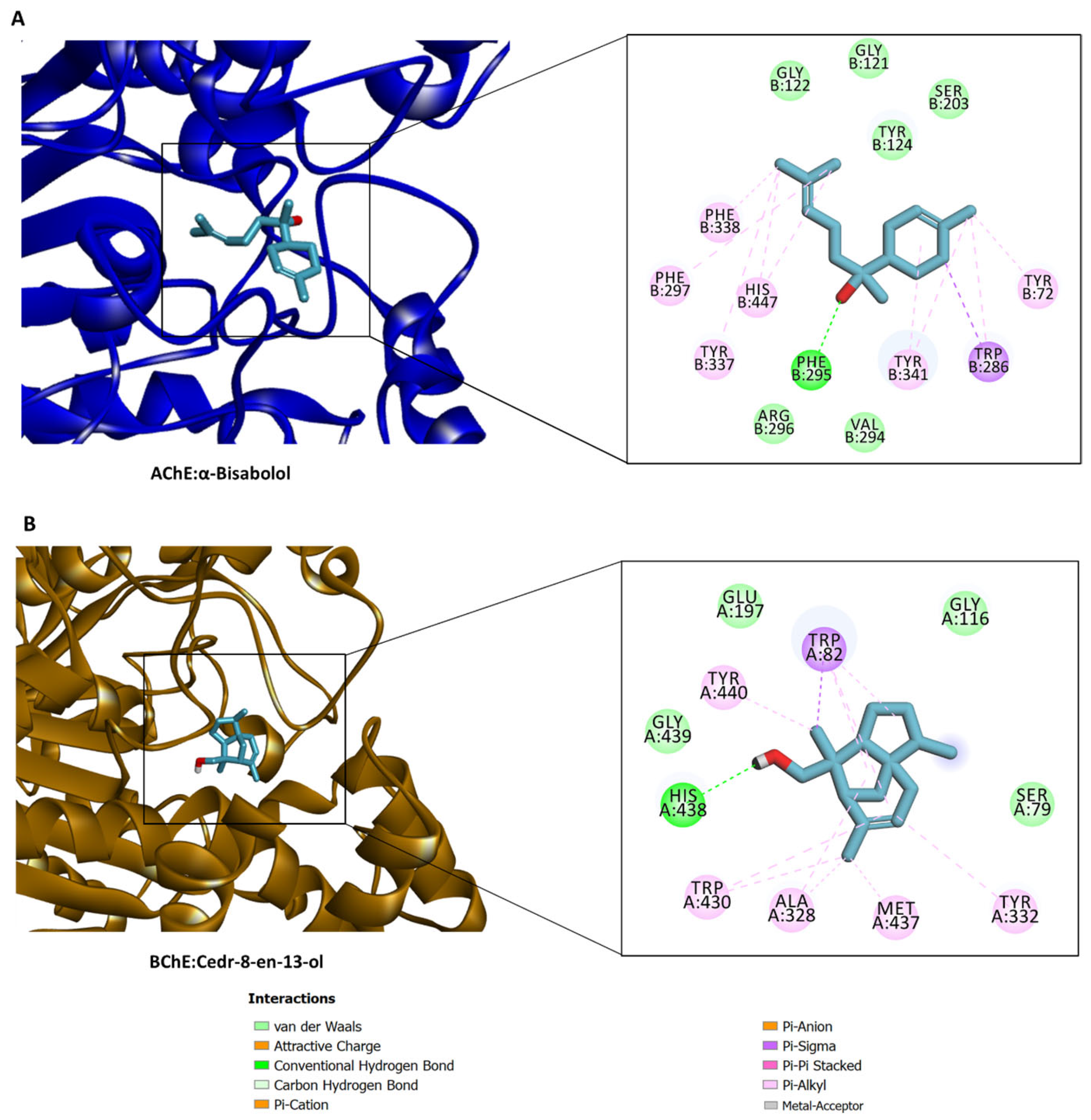 Molecules 28 01005 g005