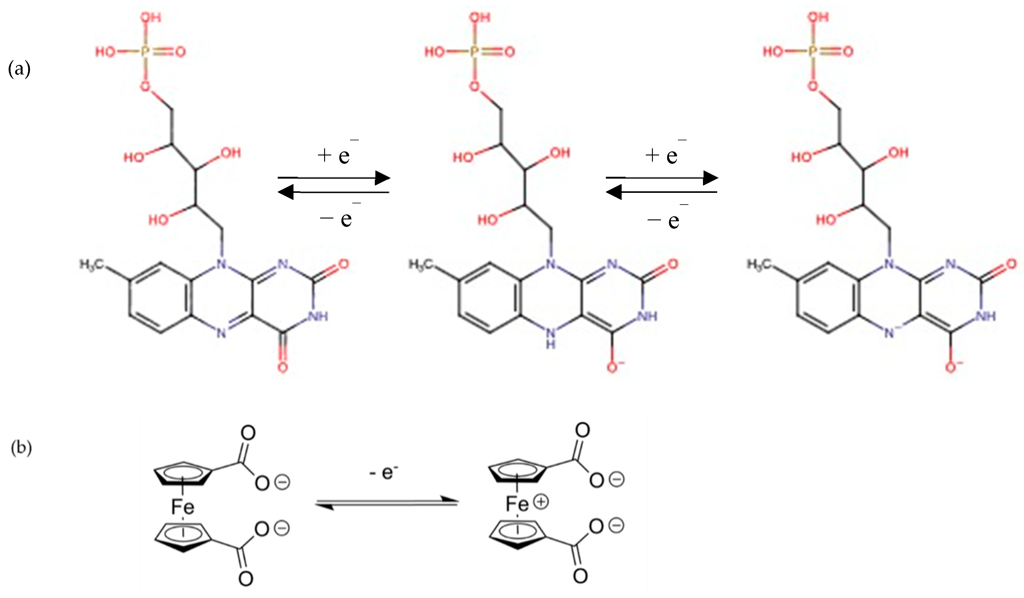 Molecules 28 01006 g001