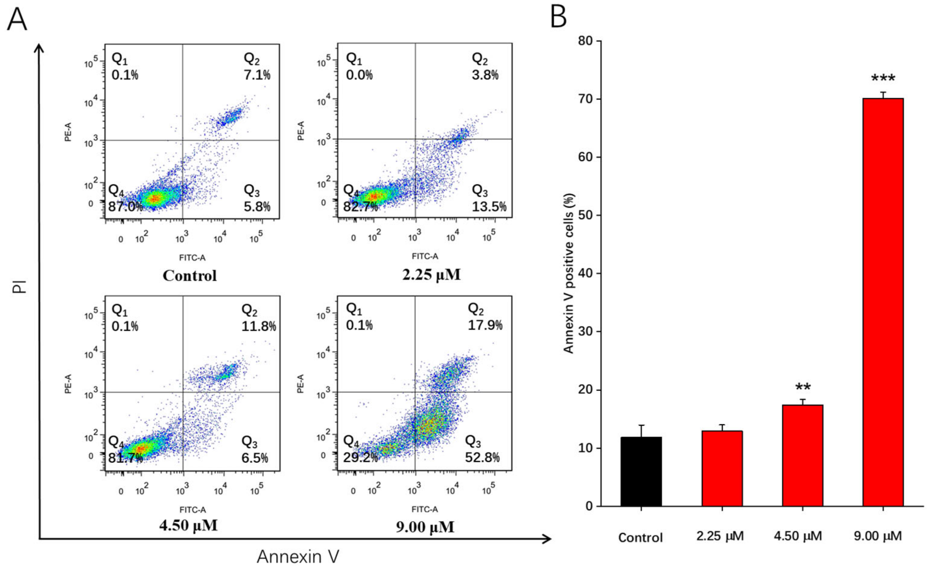 Molecules 28 01016 g001 Molecules 28 01016 g001