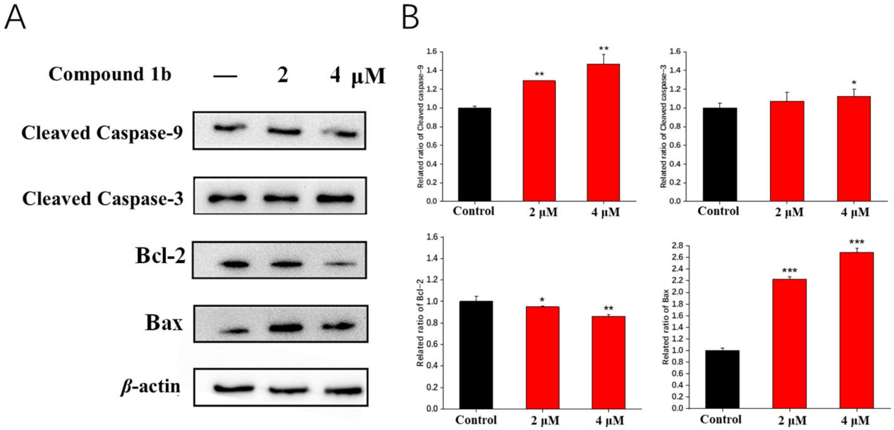 Molecules 28 01016 g005 Molecules 28 01016 g005