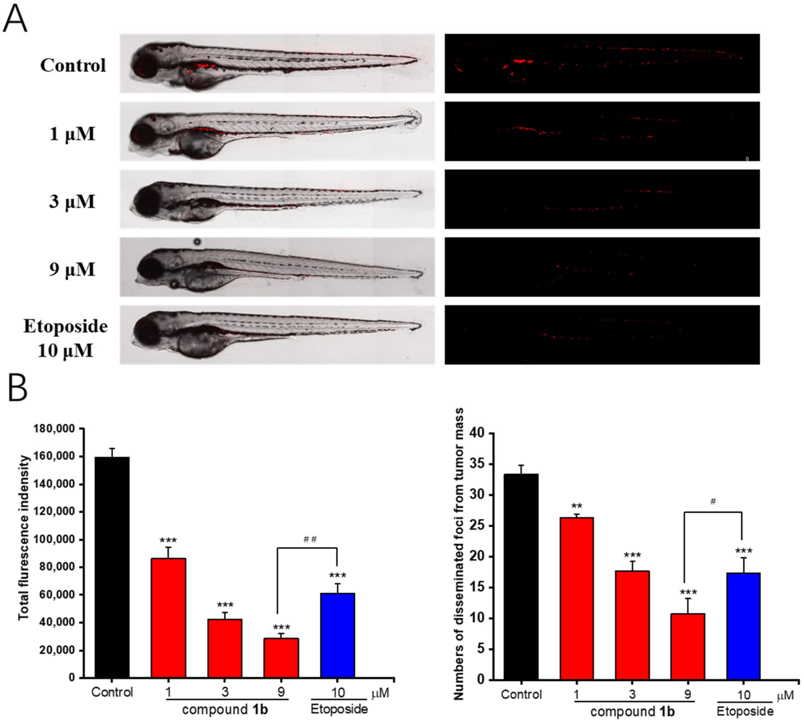 Molecules 28 01016 g006 Molecules 28 01016 g006