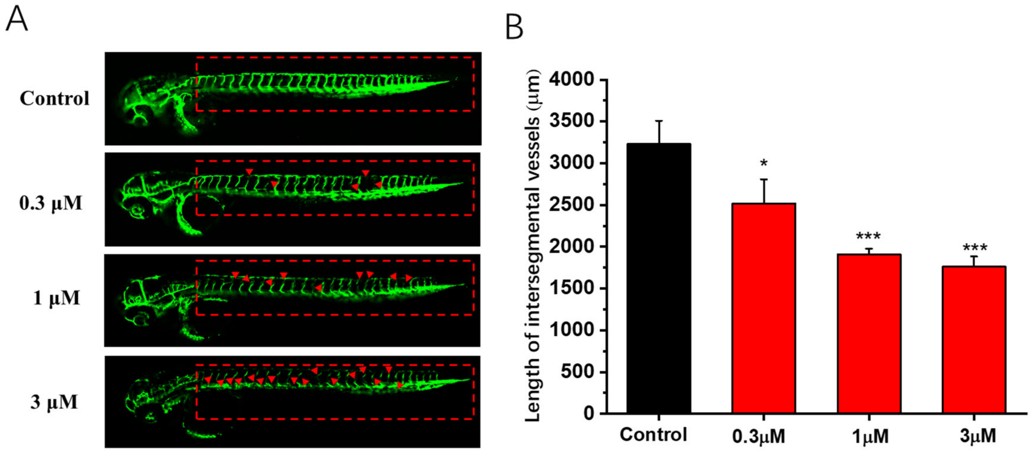 Molecules 28 01016 g007 Molecules 28 01016 g007