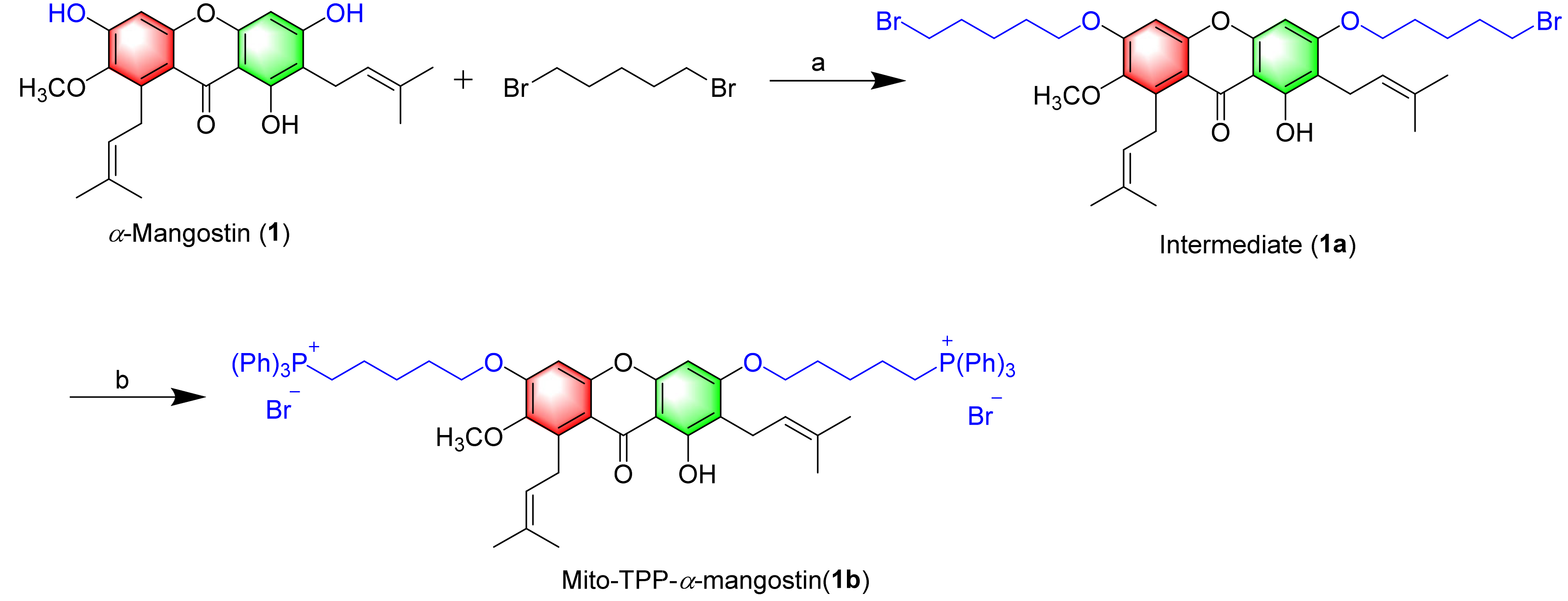 Molecules 28 01016 sch001 Molecules 28 01016 sch001
