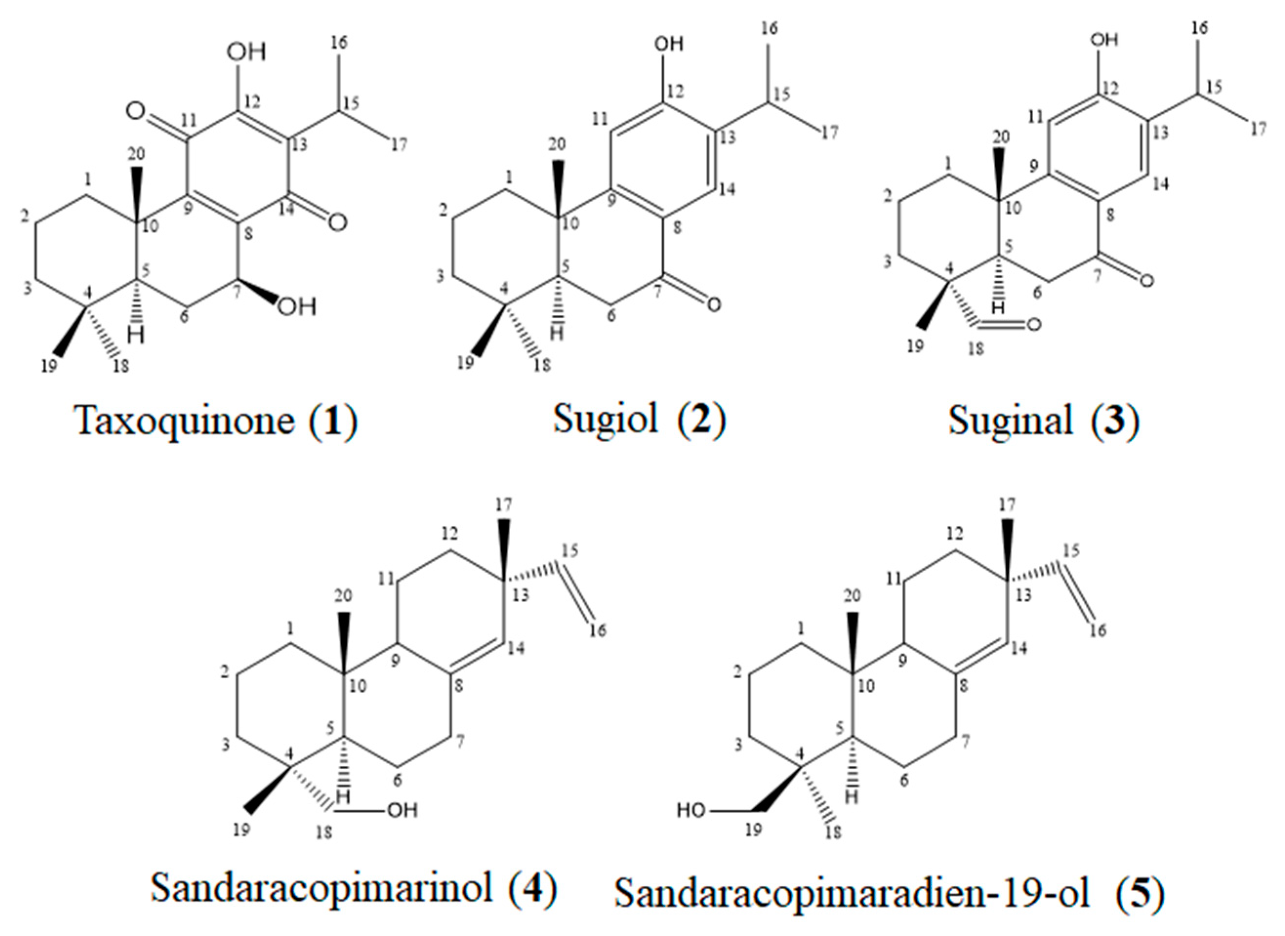 Molecules 28 01017 g002 Molecules 28 01017 g002
