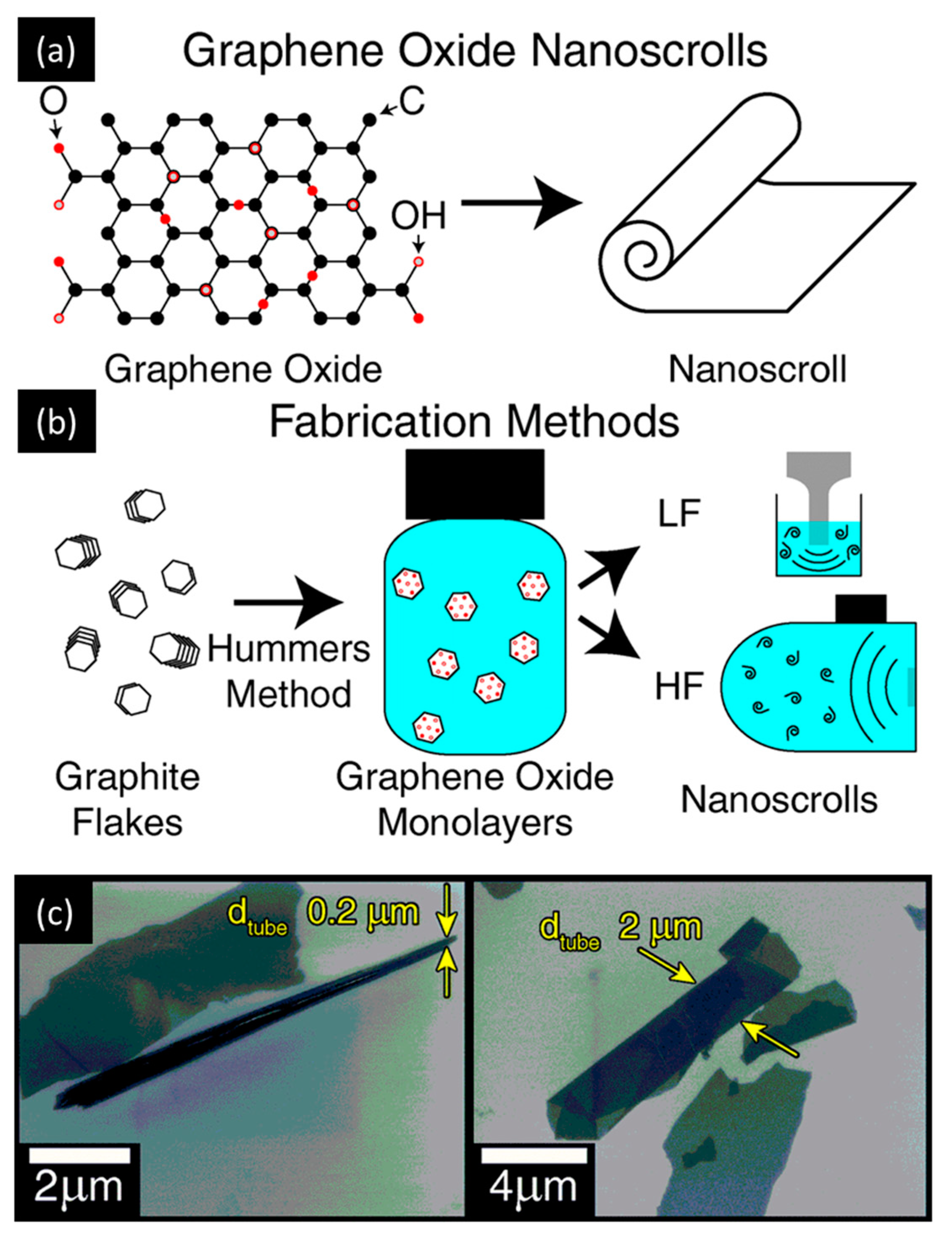 Molecules 28 01020 g002