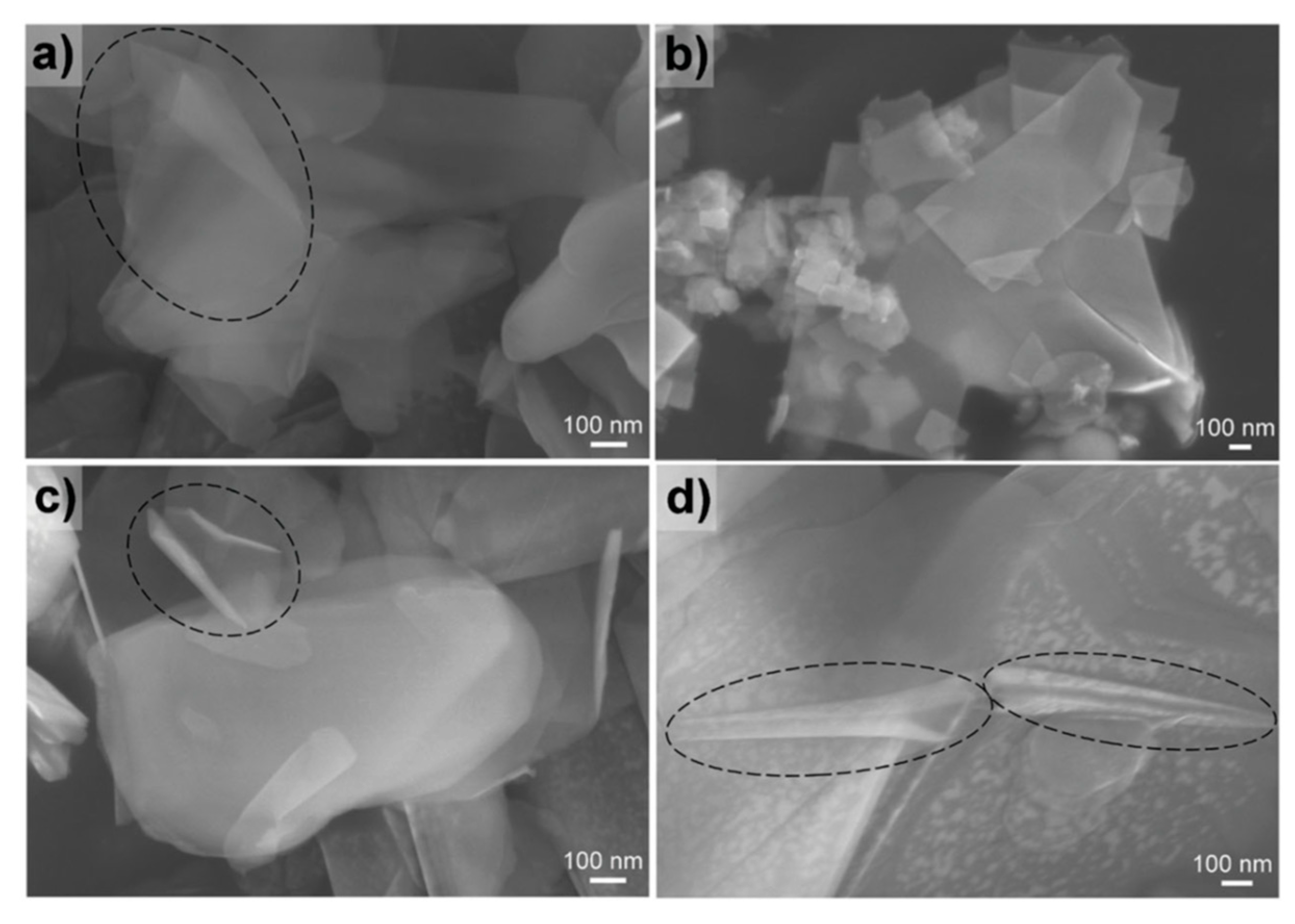 Molecules 28 01020 g003