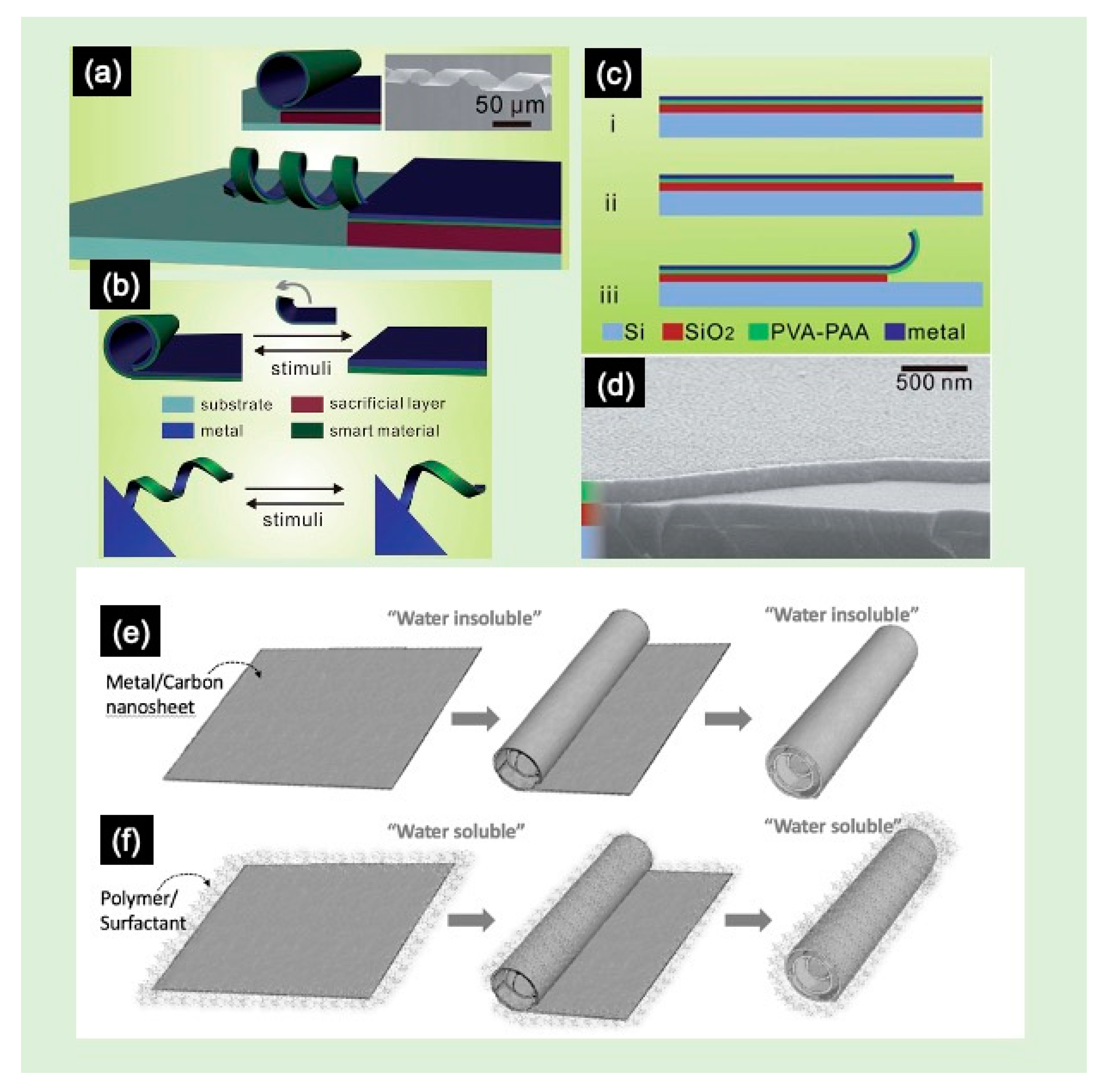 Molecules 28 01020 g004