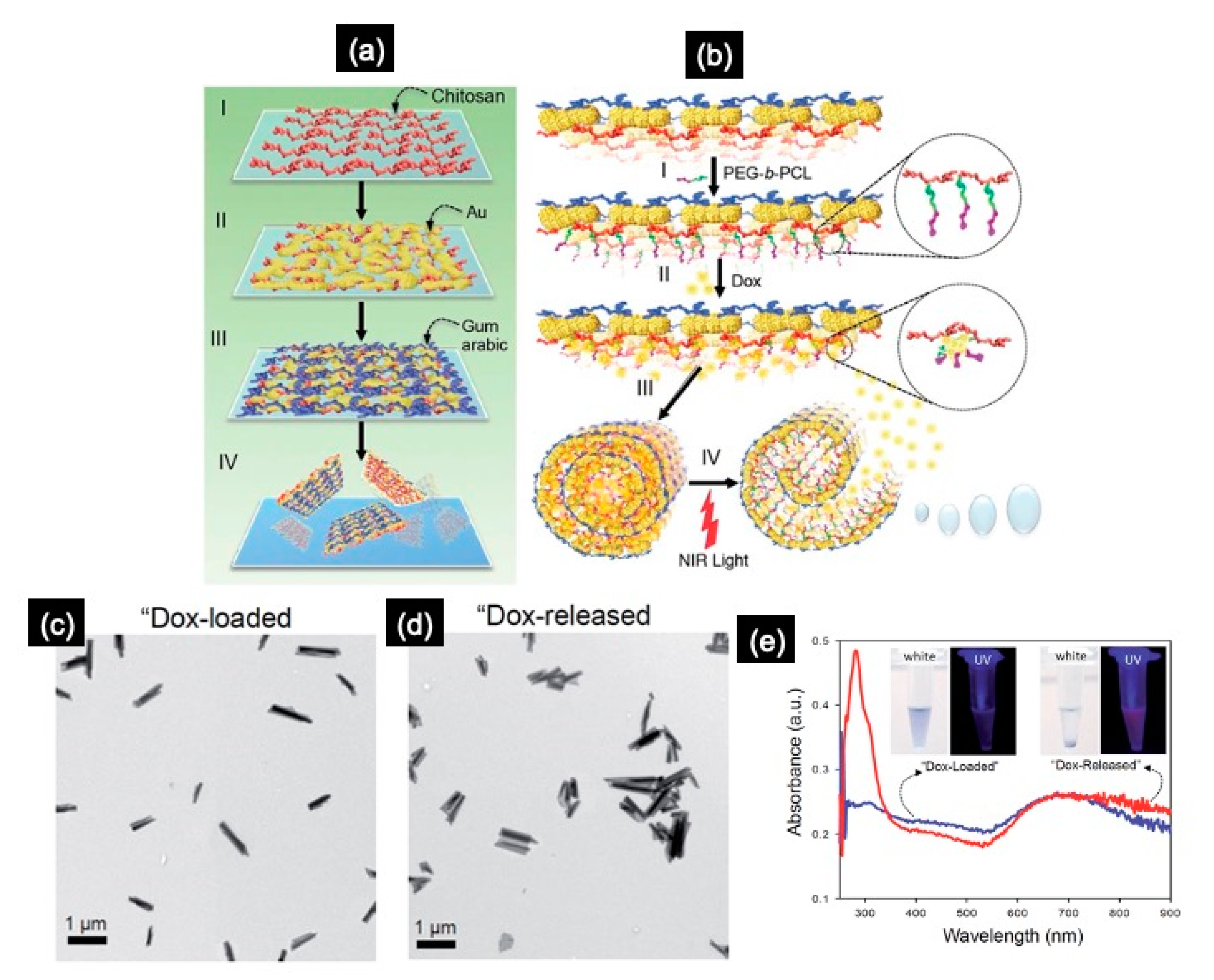 Molecules 28 01020 g007