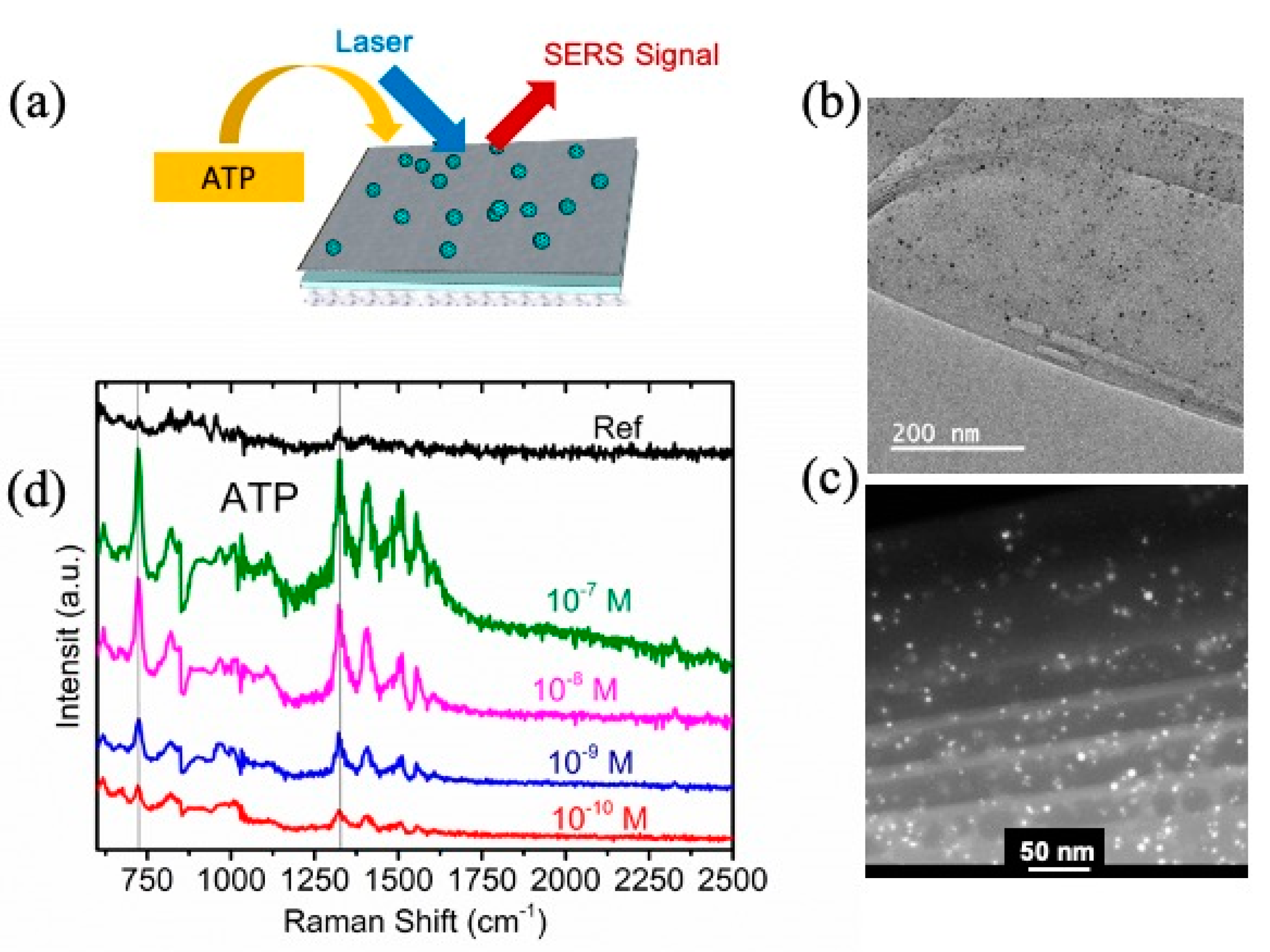 Molecules 28 01020 g008