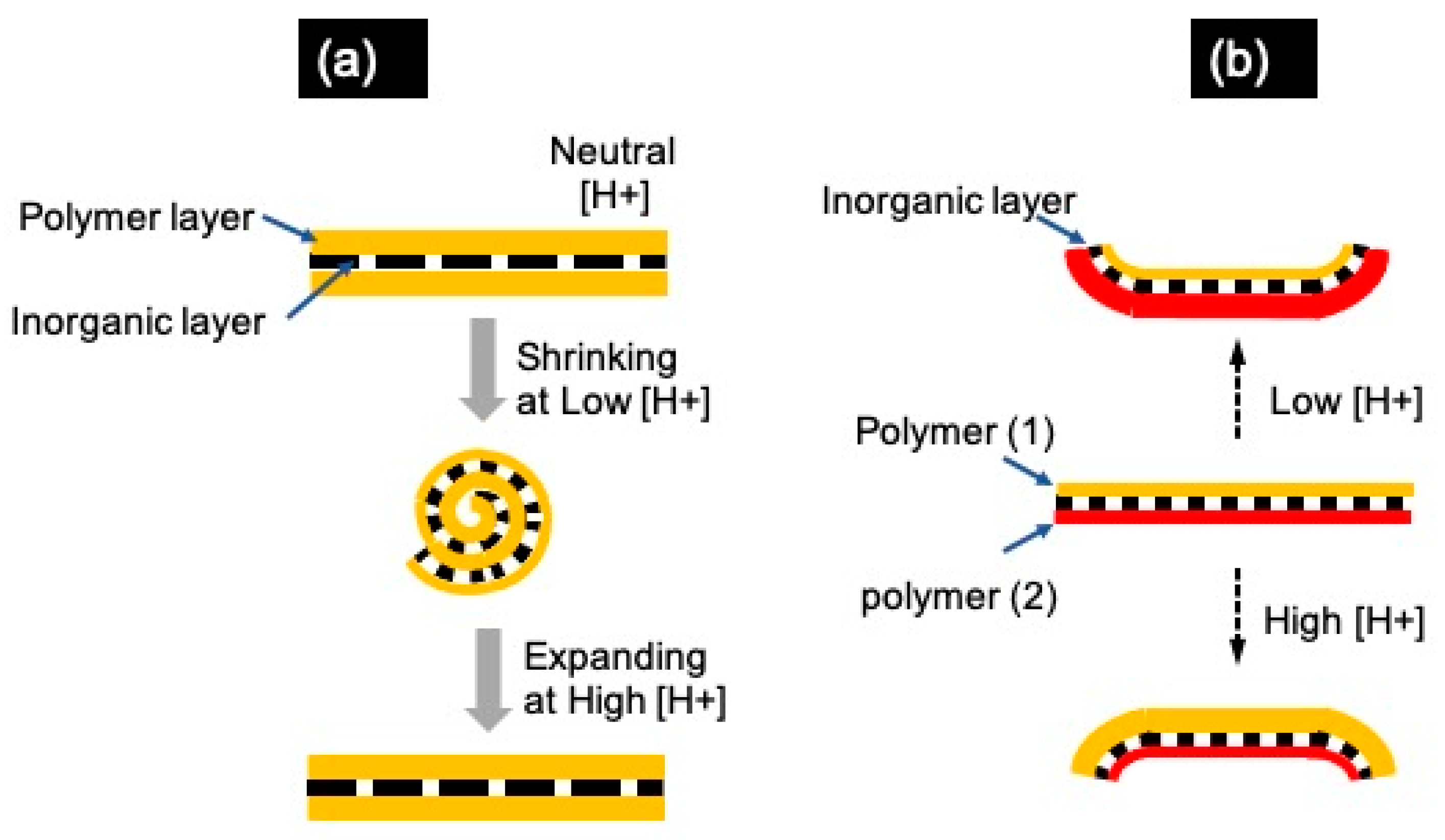 Molecules 28 01020 g010