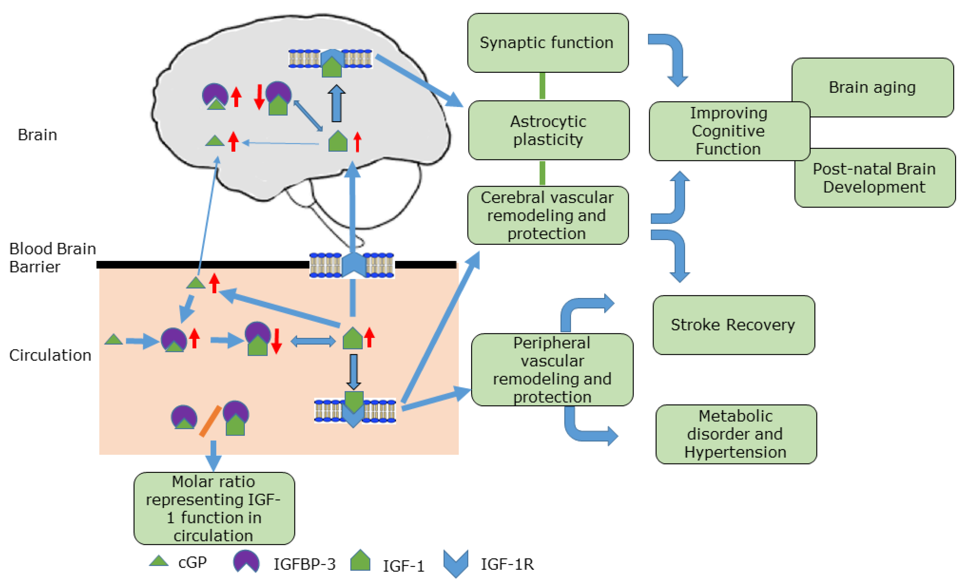 Molecules 28 01021 g003
