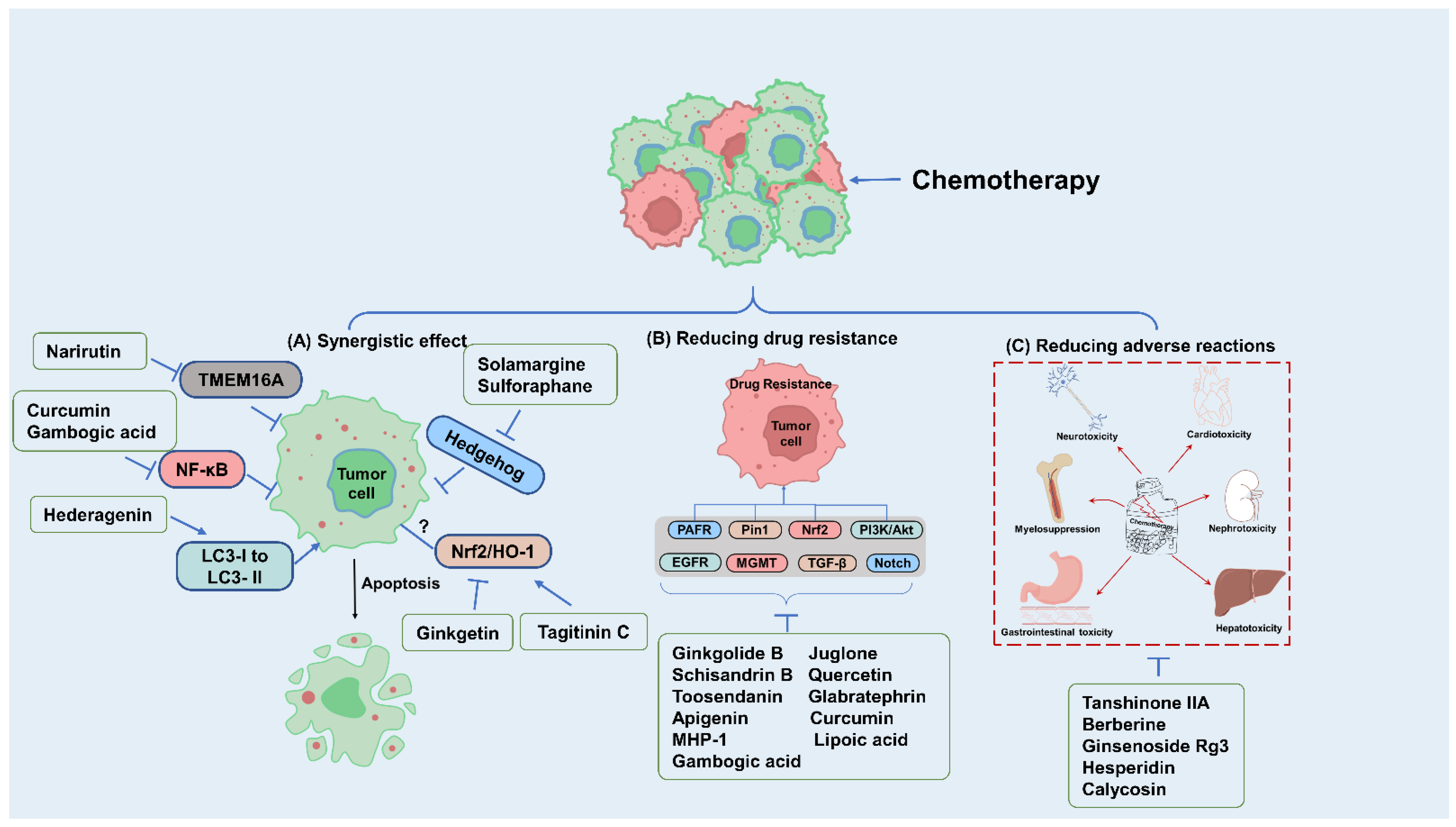 Molecules 28 01022 g001 Molecules 28 01022 g001