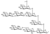 Molecules 28 01022 i020 Molecules 28 01022 i020