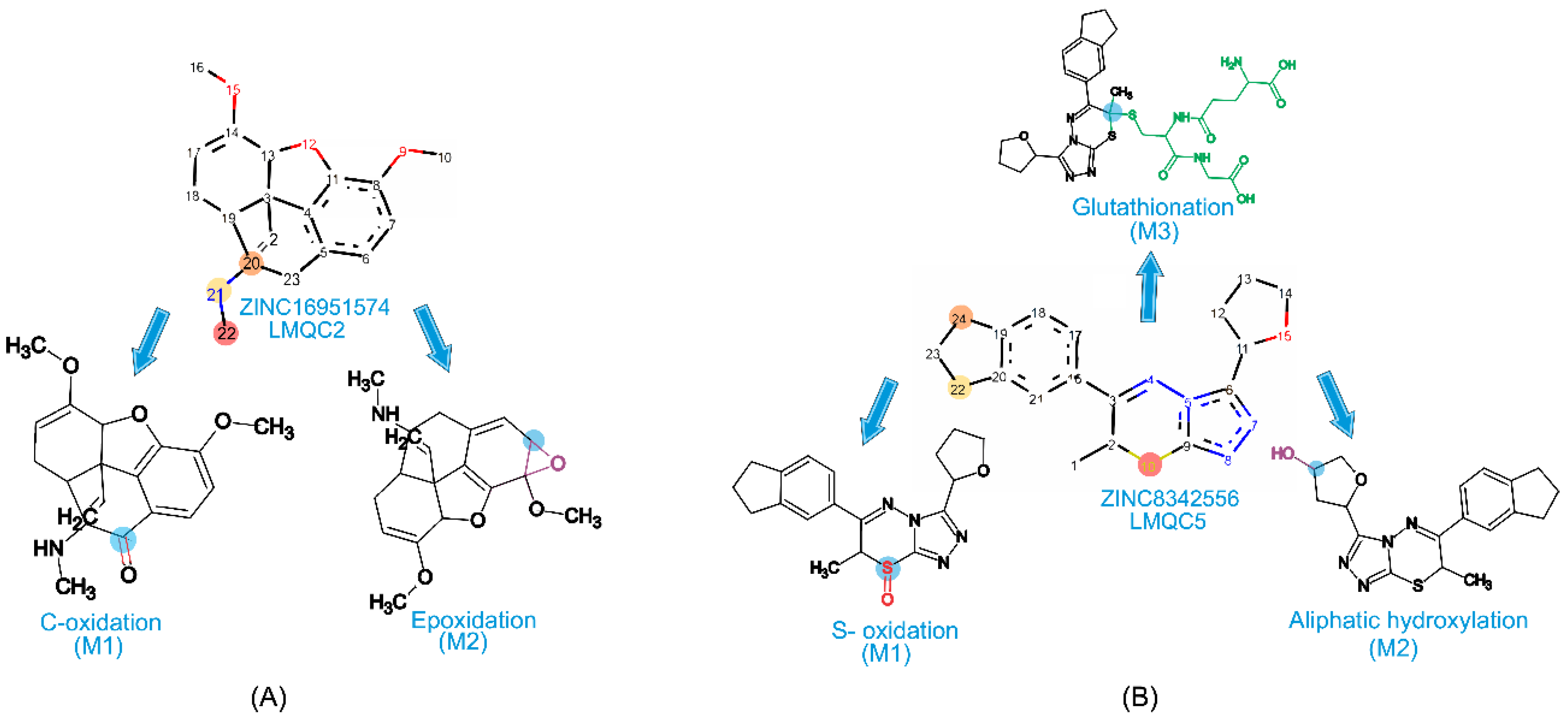 Molecules 28 01035 g006