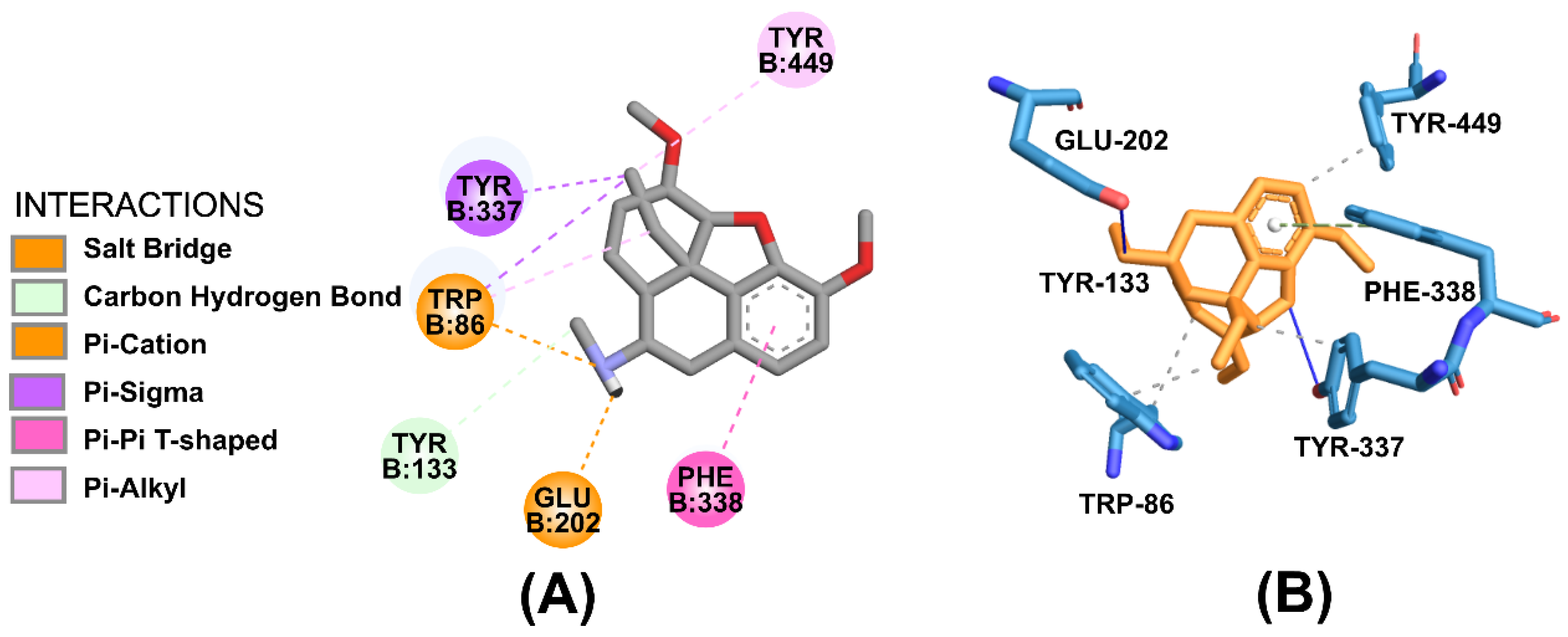 Molecules 28 01035 g009