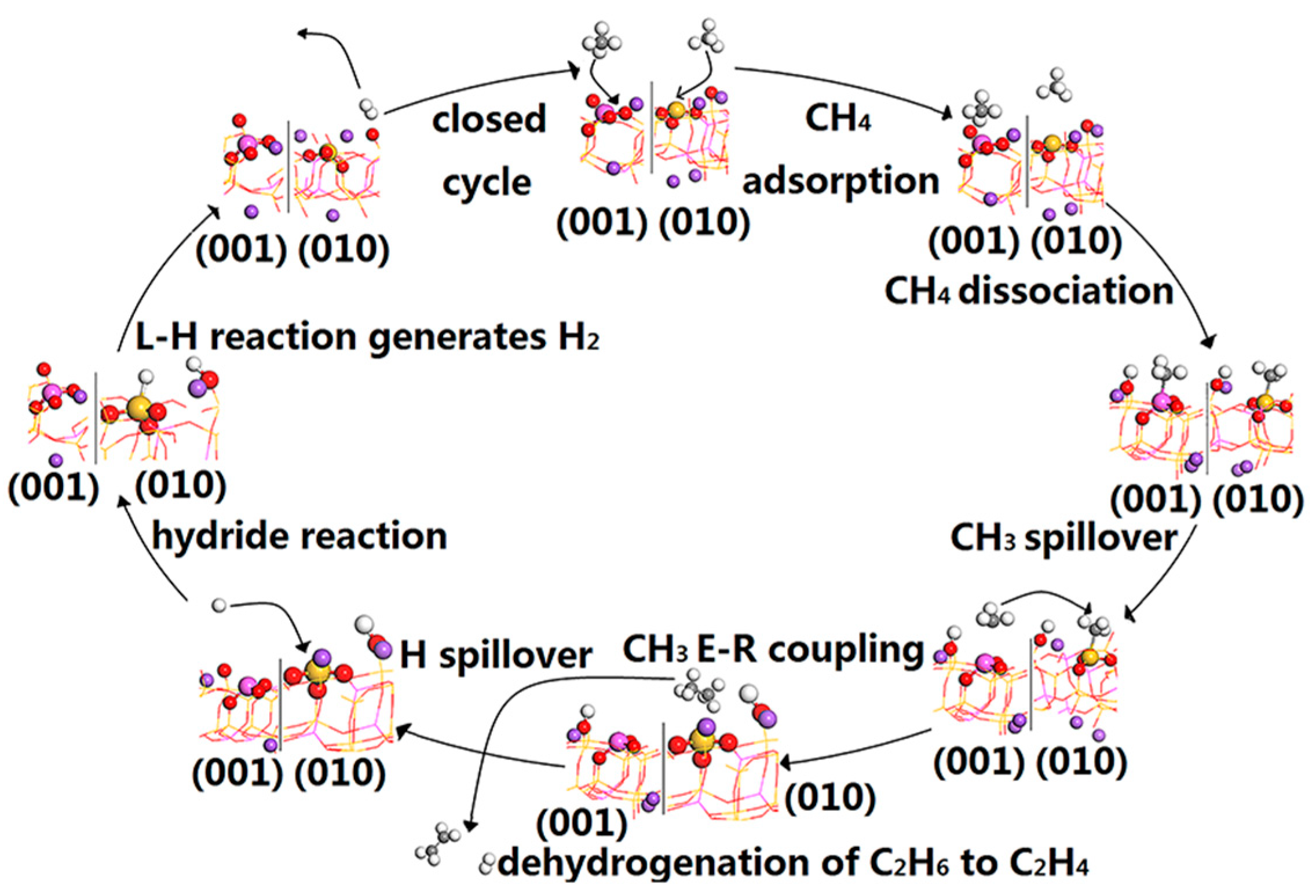 Molecules 28 01037 g006
