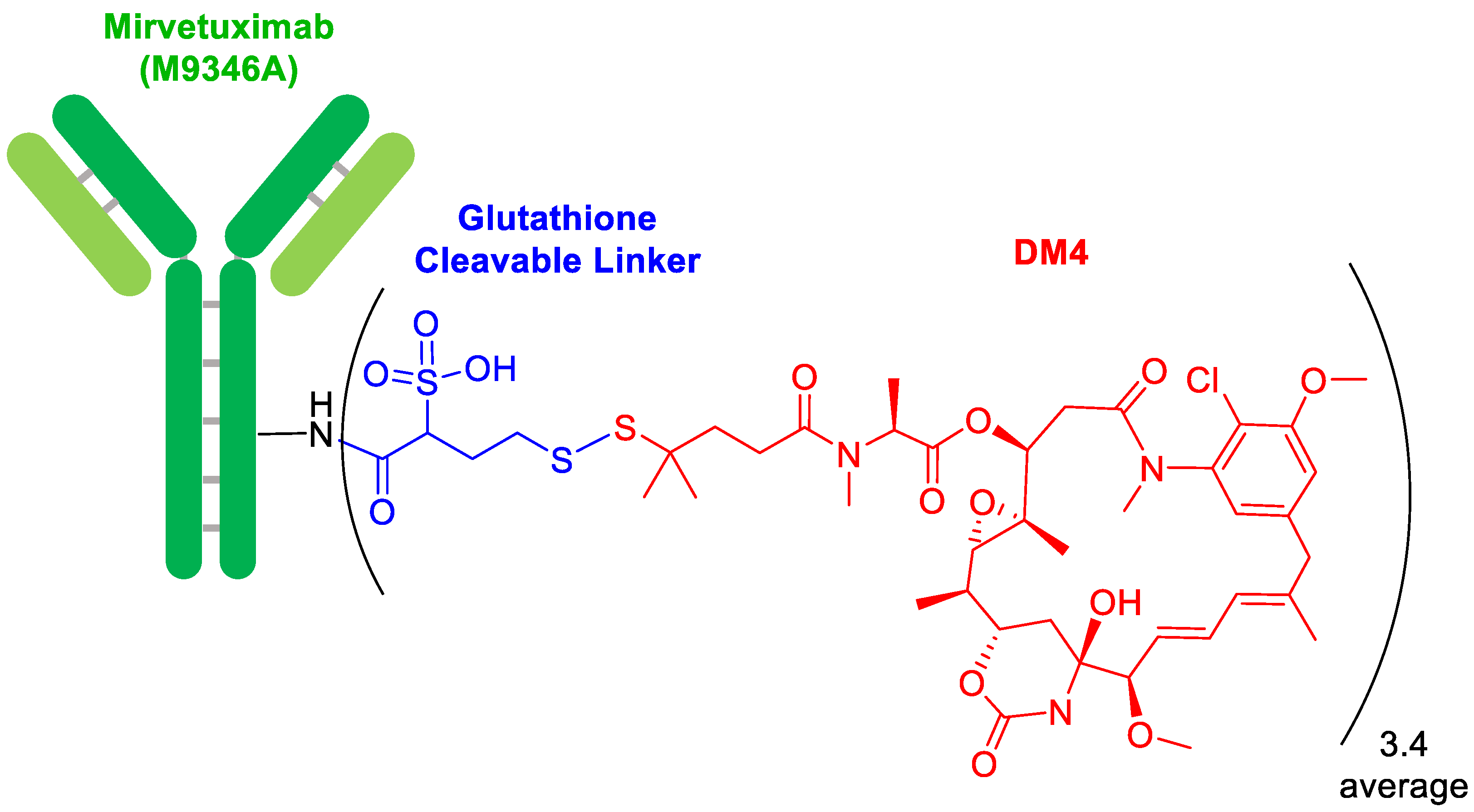 Molecules 28 01038 g002