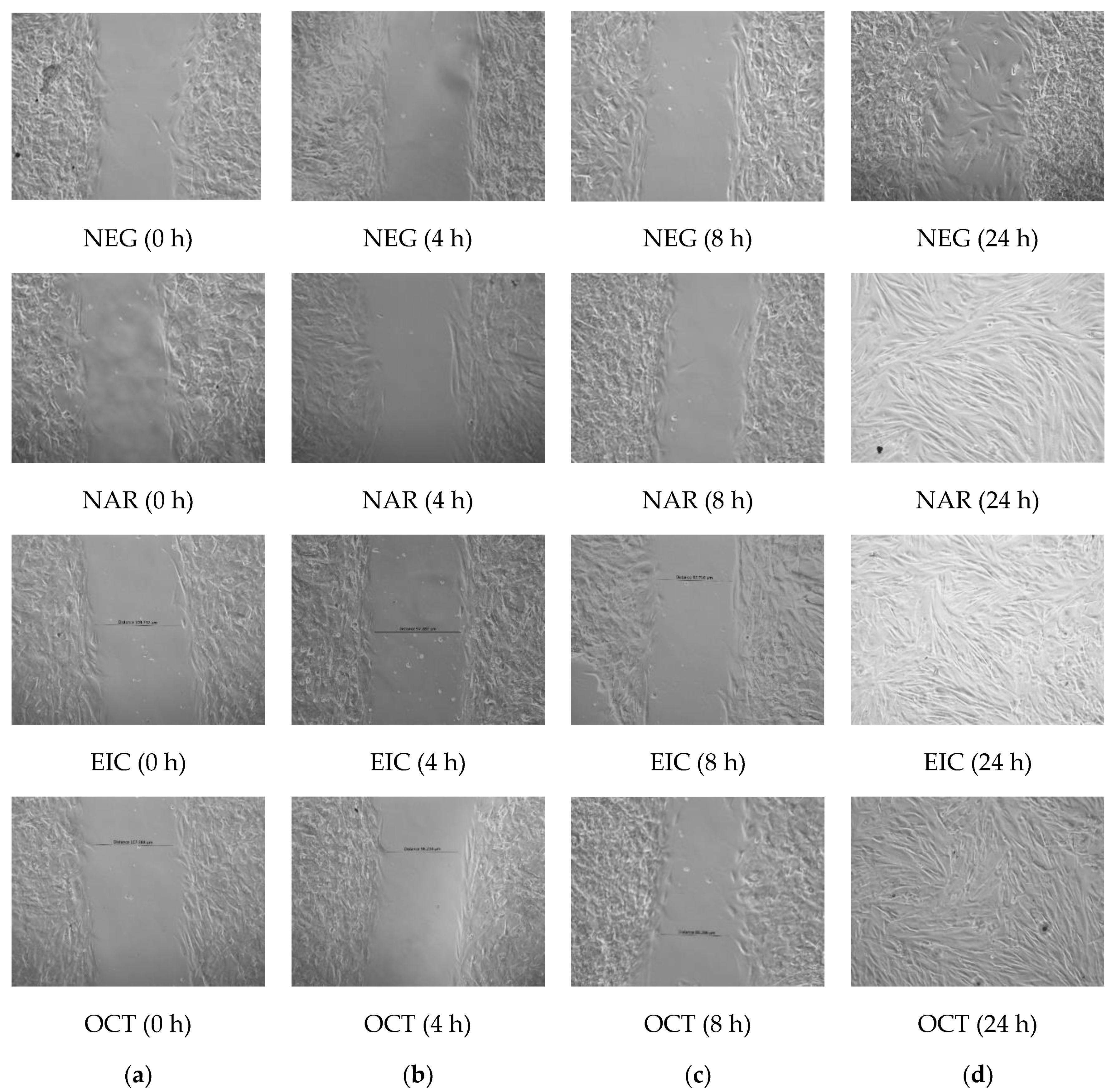 Molecules 28 01043 g002 Molecules 28 01043 g002