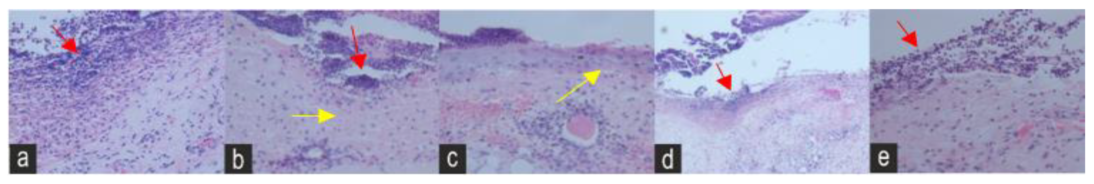 Molecules 28 01043 g006 Molecules 28 01043 g006