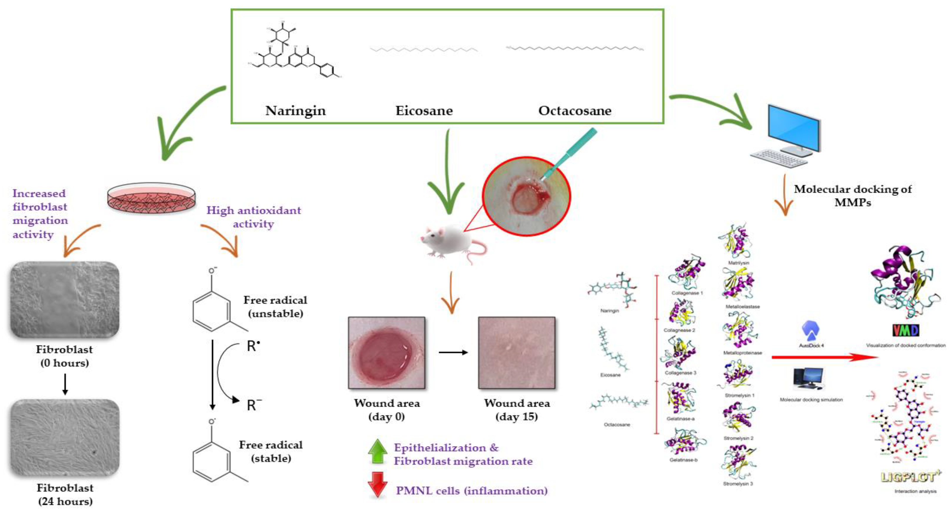 Molecules 28 01043 g012 Molecules 28 01043 g012