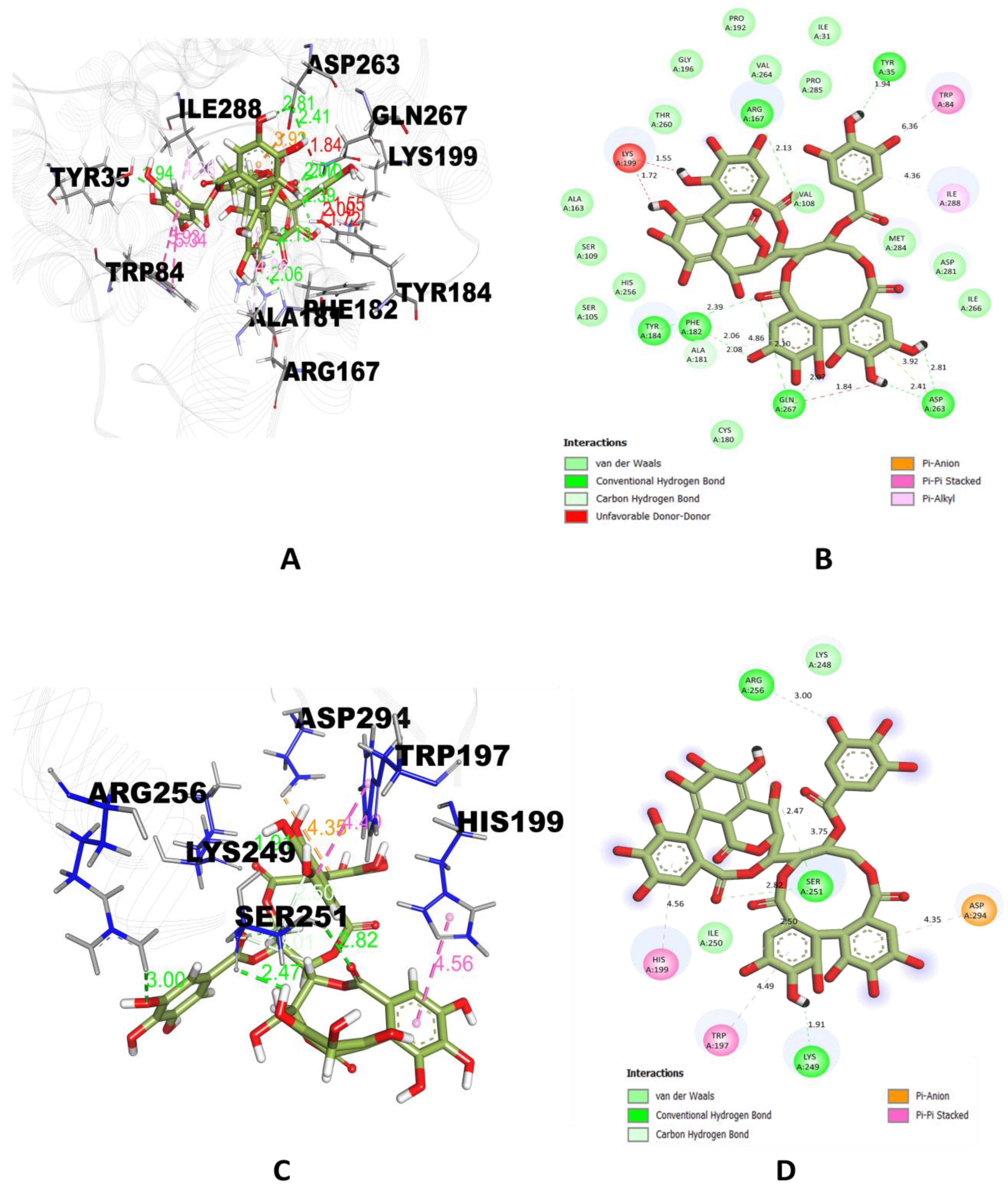 Molecules 28 01046 g001a Molecules 28 01046 g001a