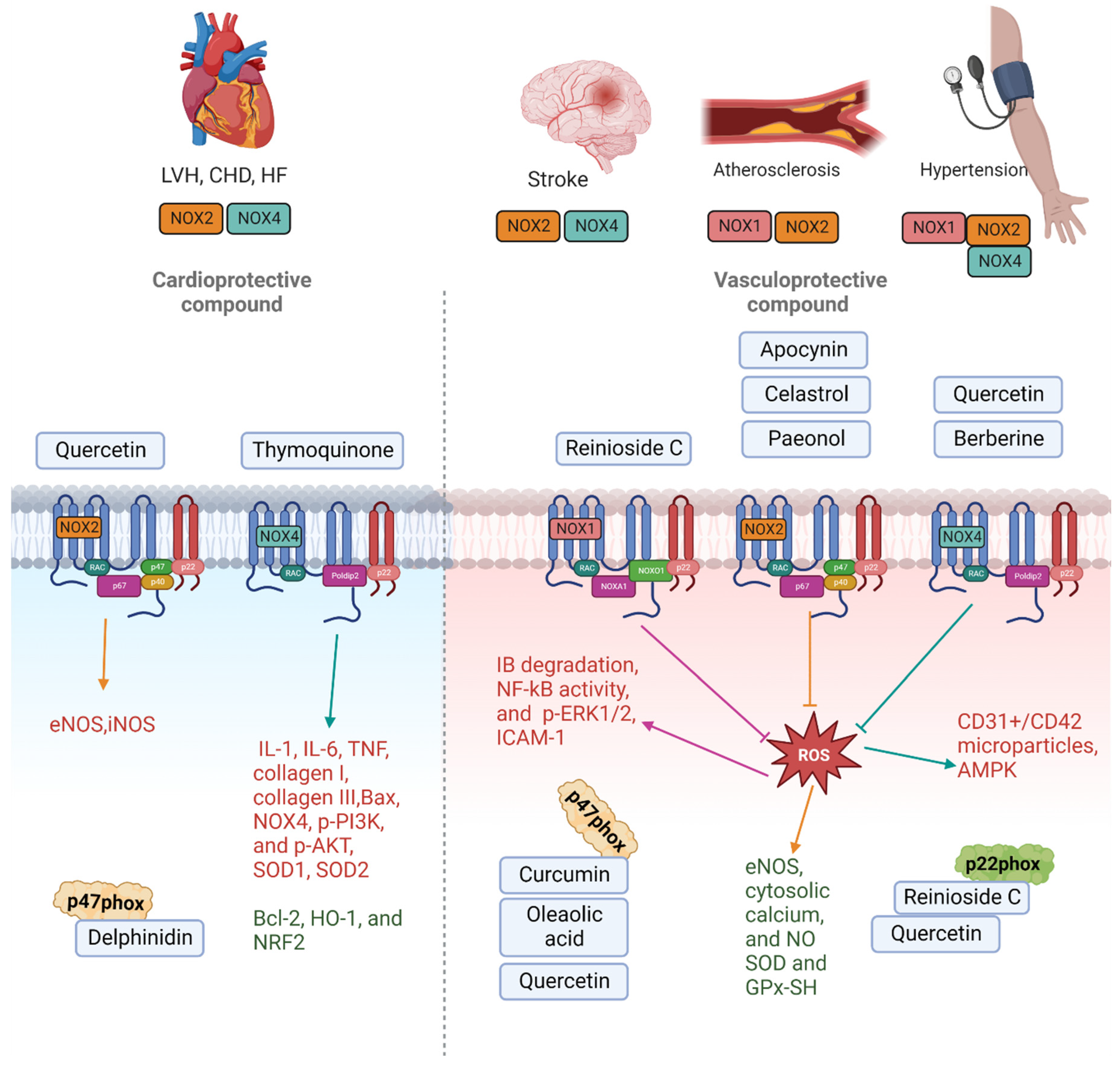 Molecules 28 01047 g001
