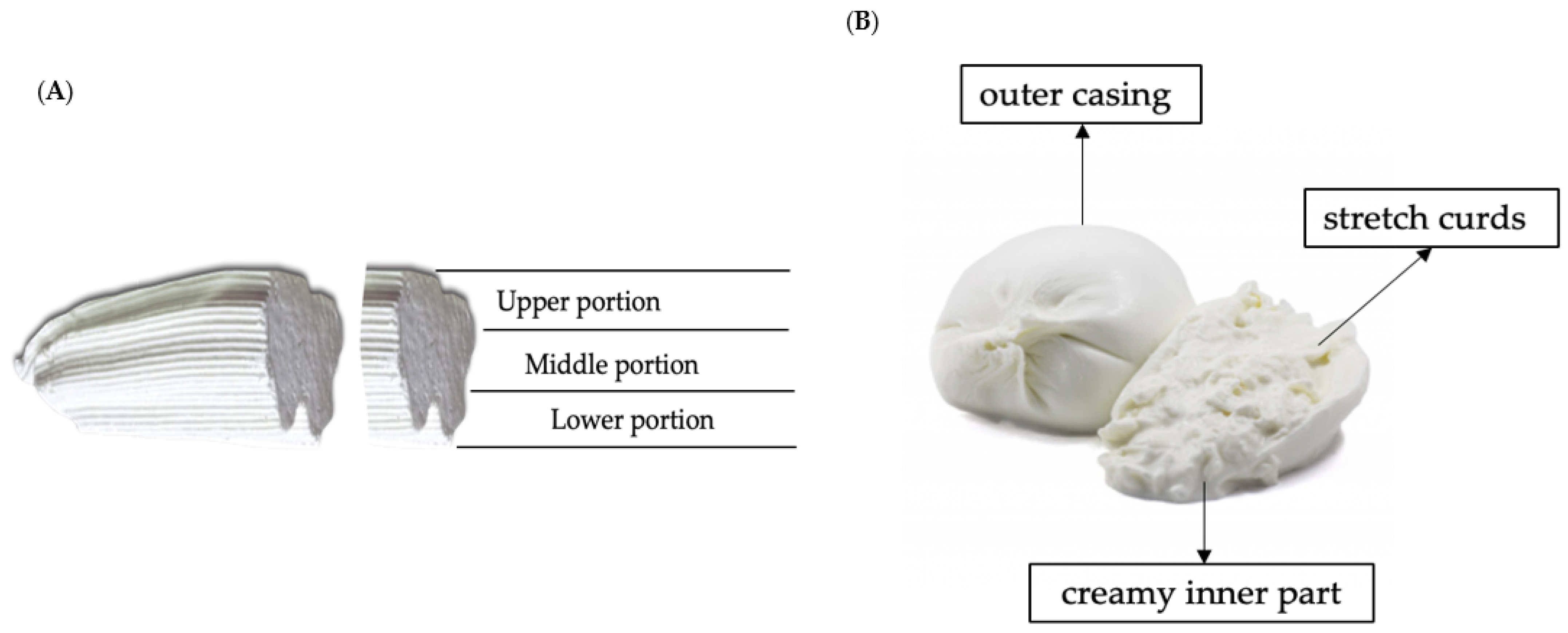 Molecules 28 01049 g002