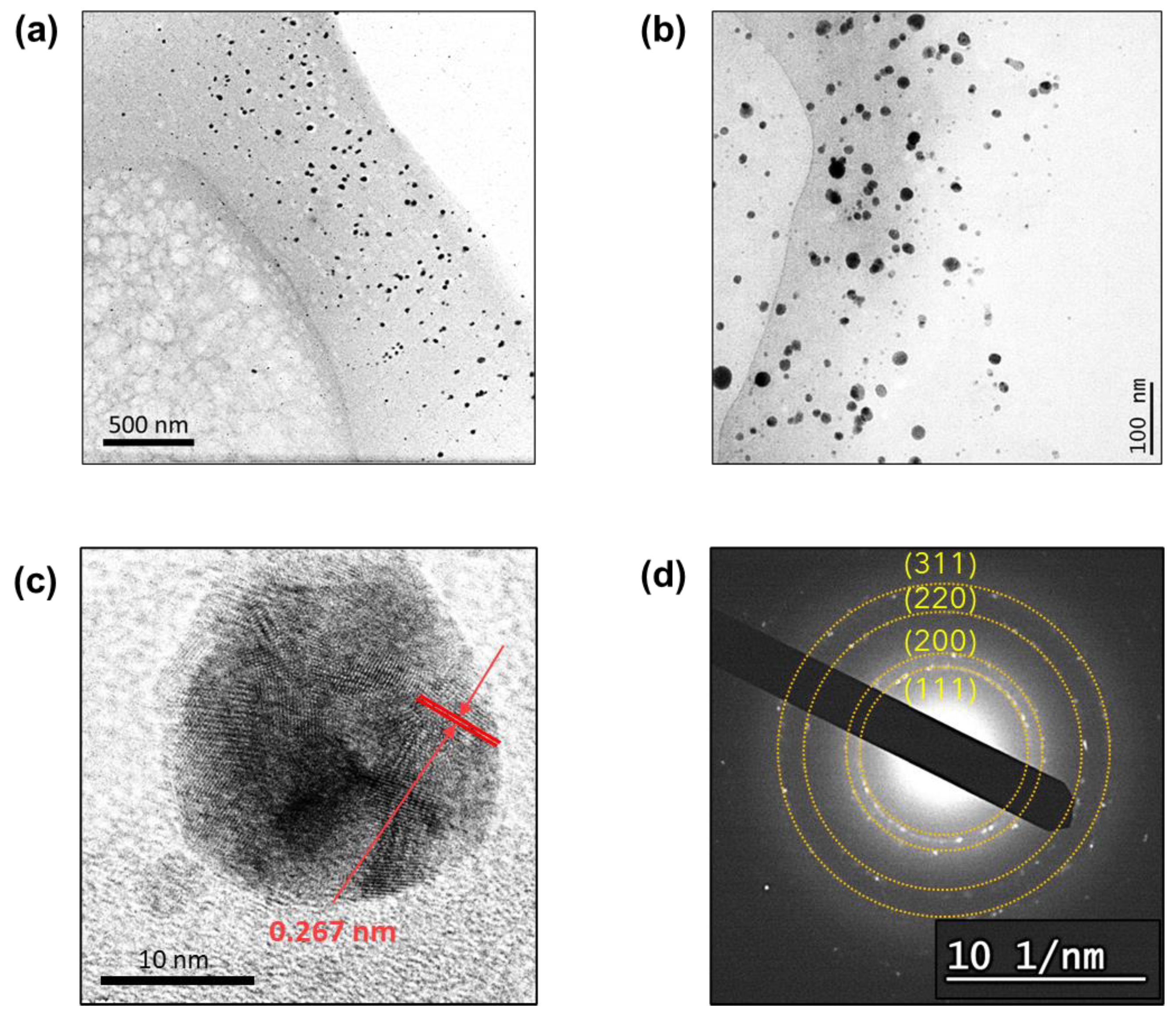 Molecules 28 01051 g002 Molecules 28 01051 g002
