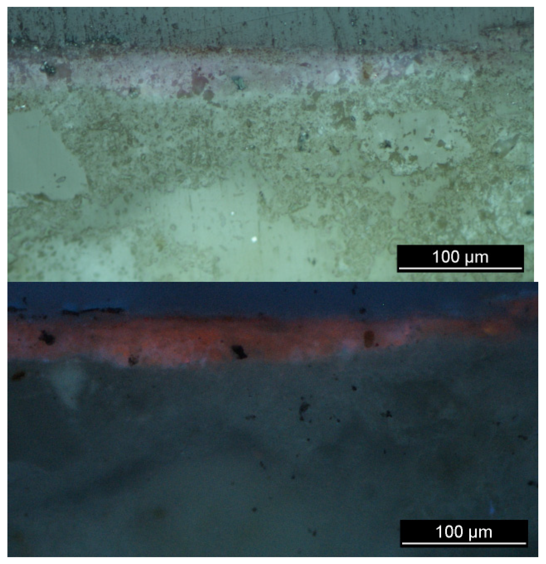 Molecules 28 01055 g005