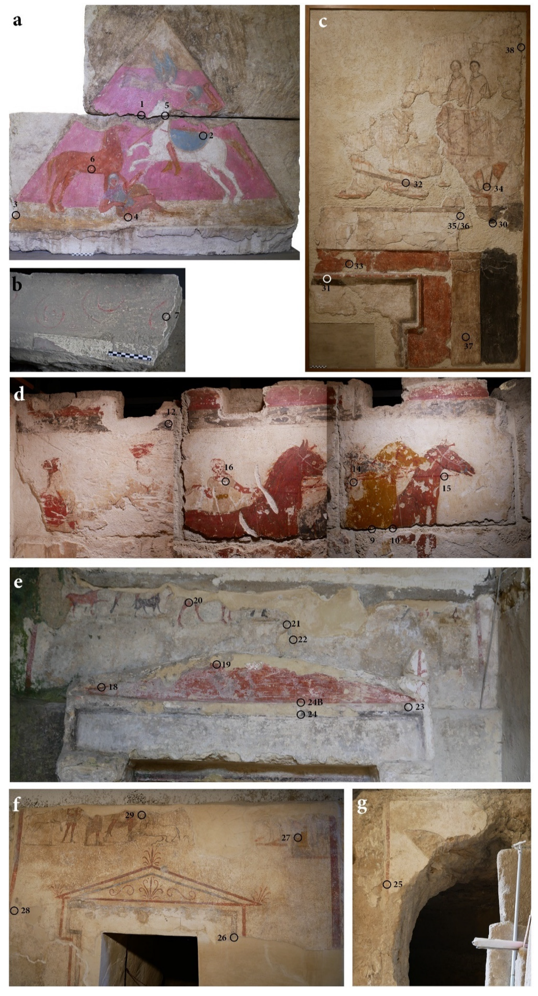 Molecules 28 01055 g011