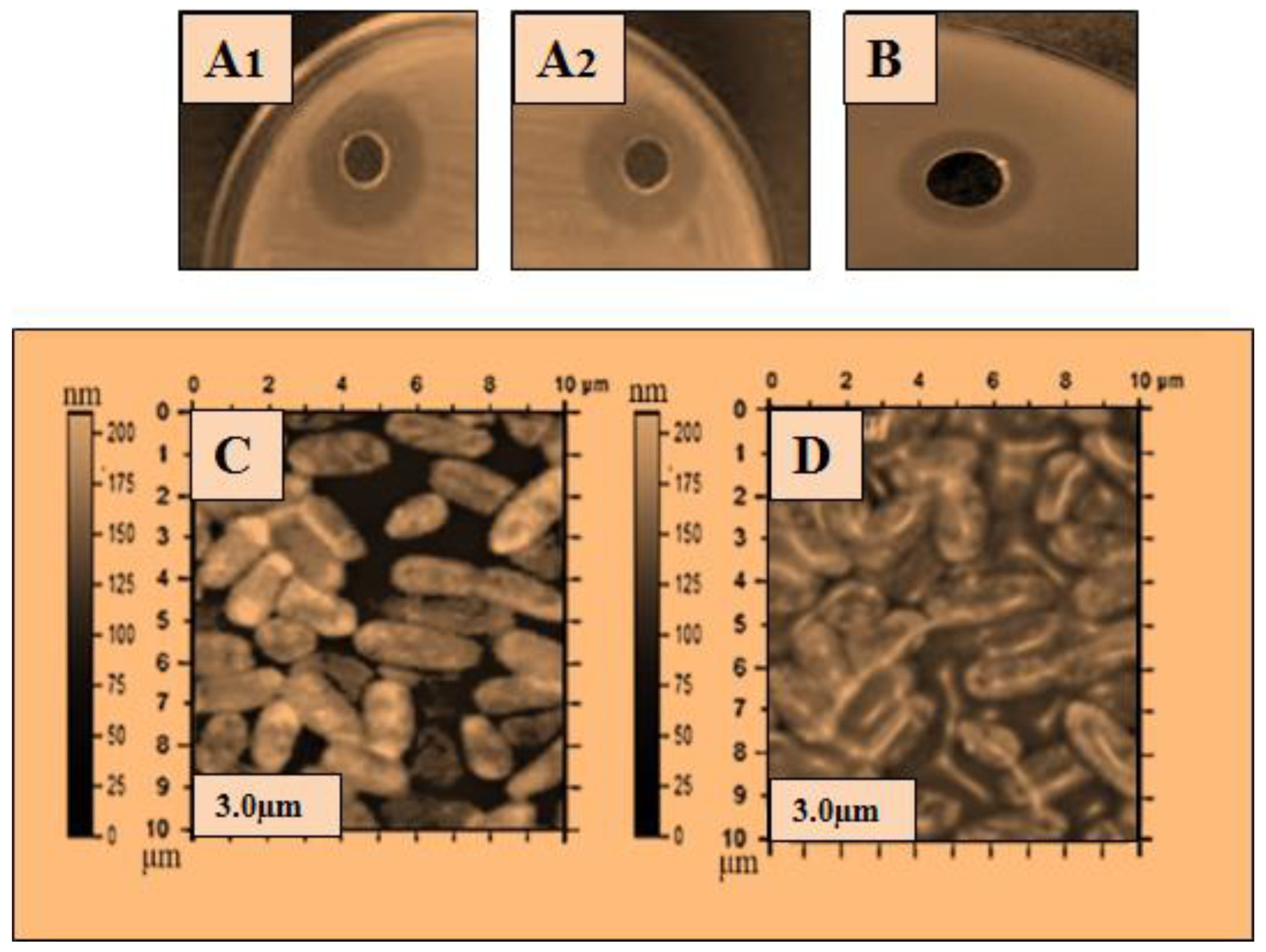 Molecules 28 01058 g003