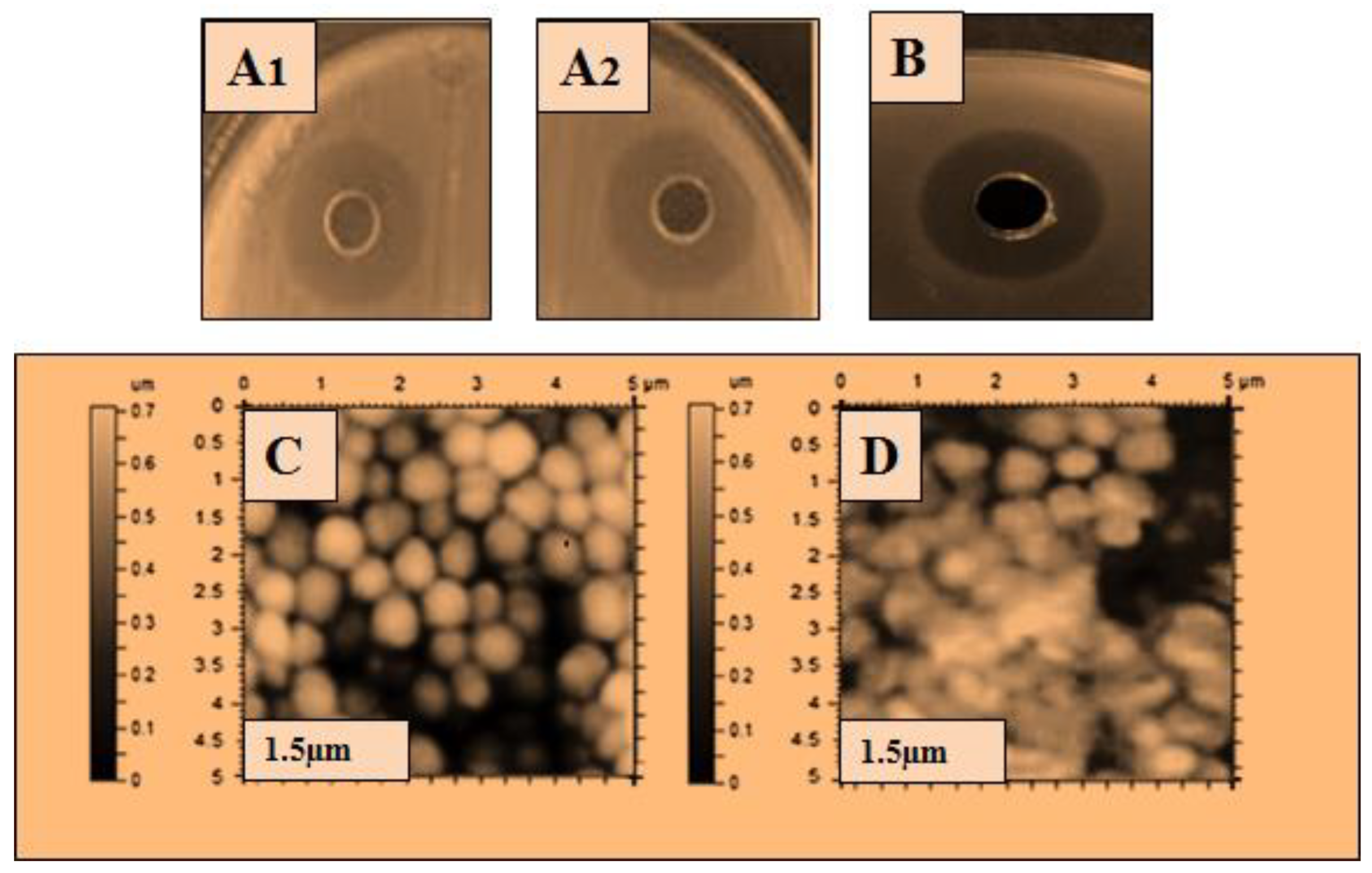 Molecules 28 01058 g004