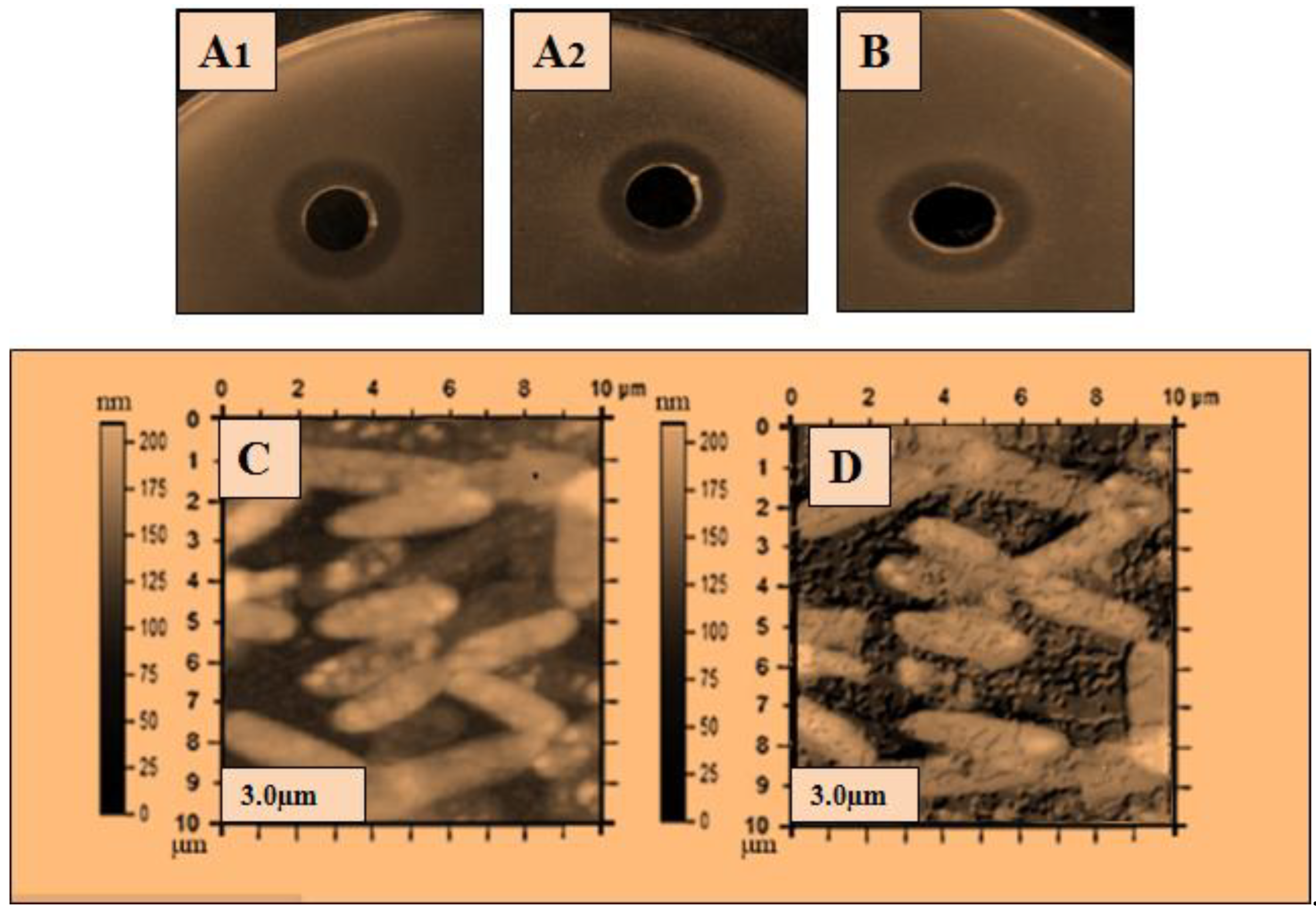 Molecules 28 01058 g005