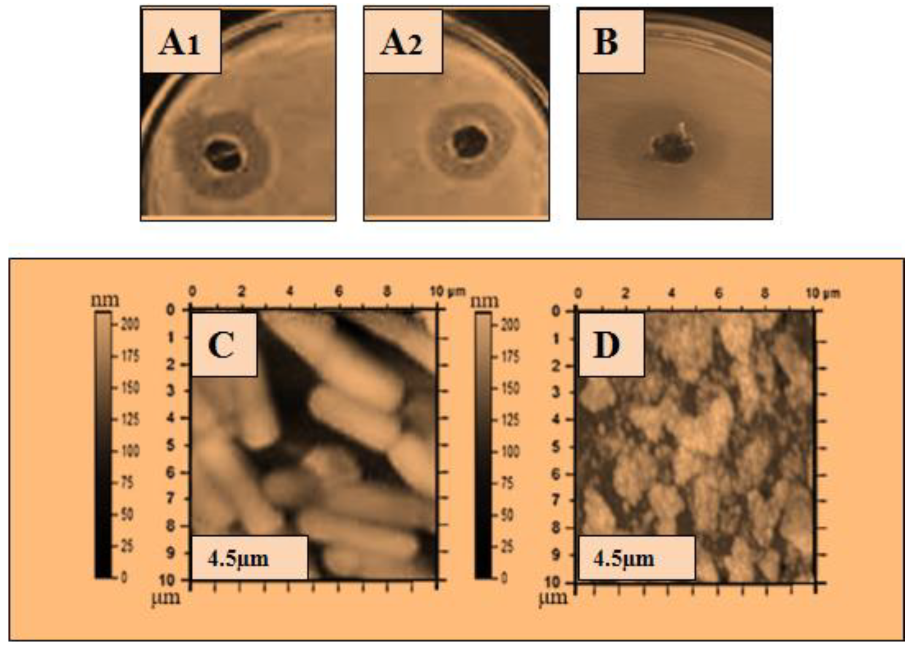 Molecules 28 01058 g006