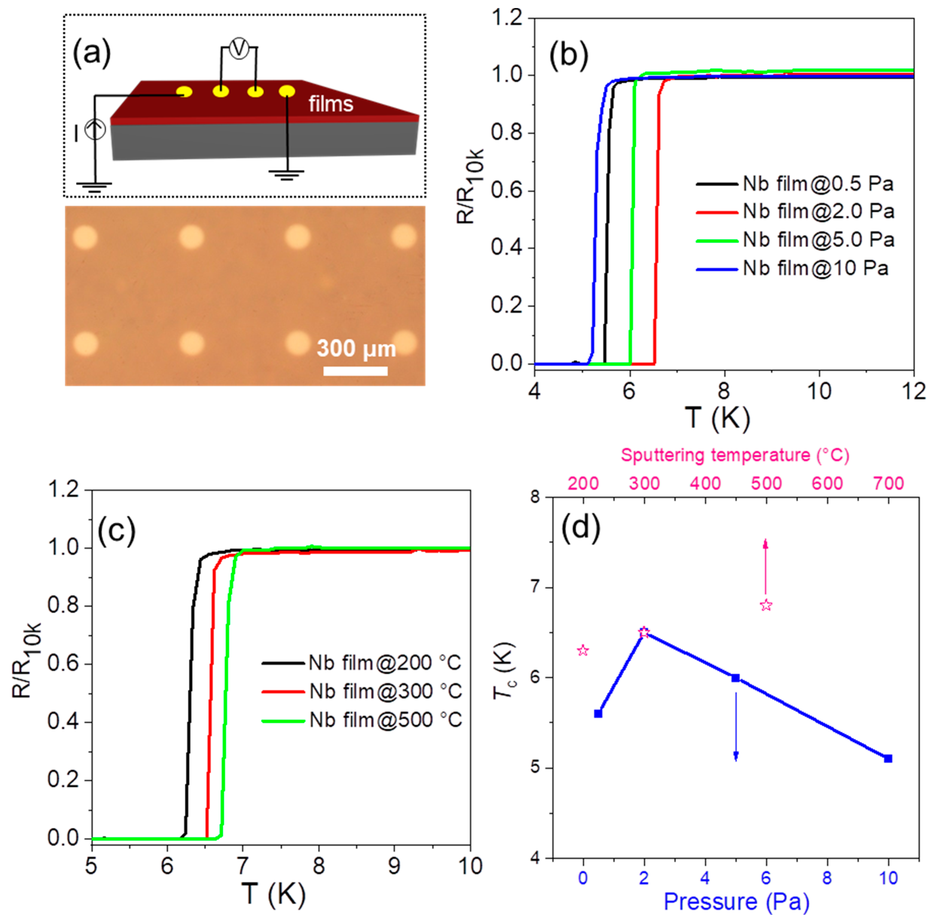 Molecules 28 01059 g002