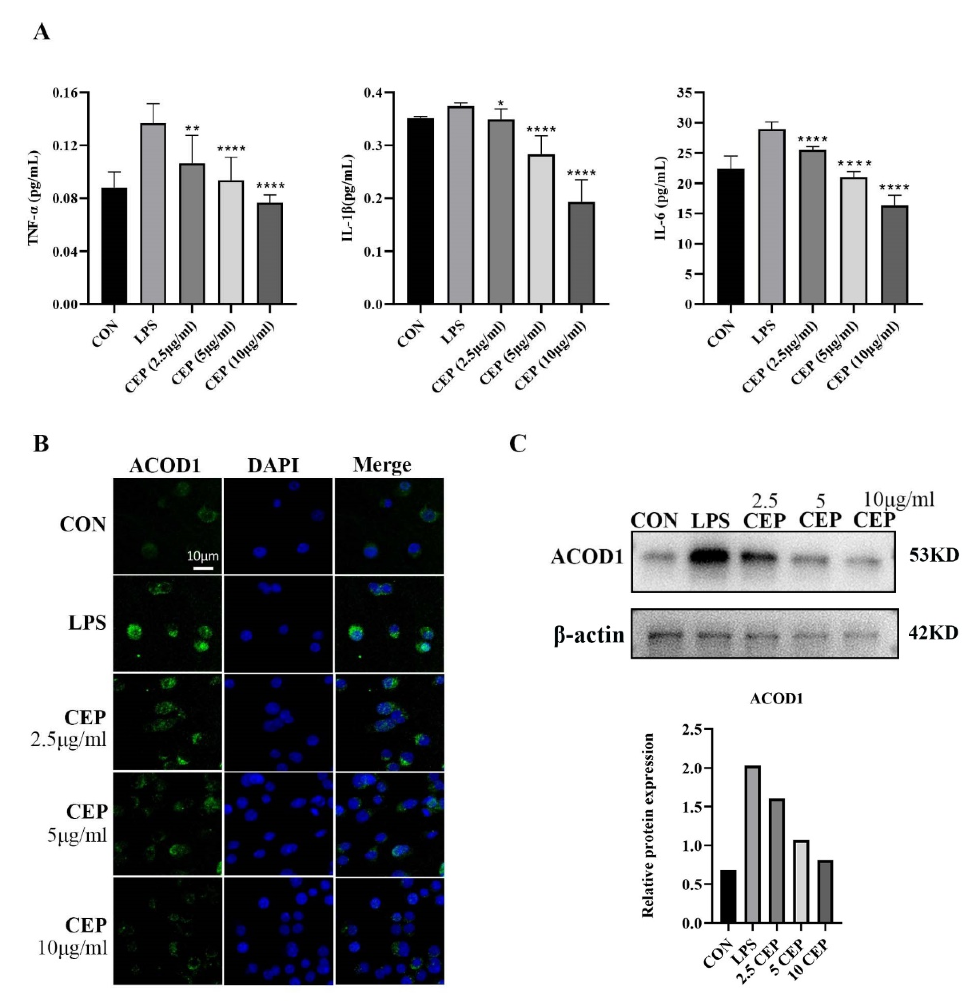Molecules 28 01060 g002