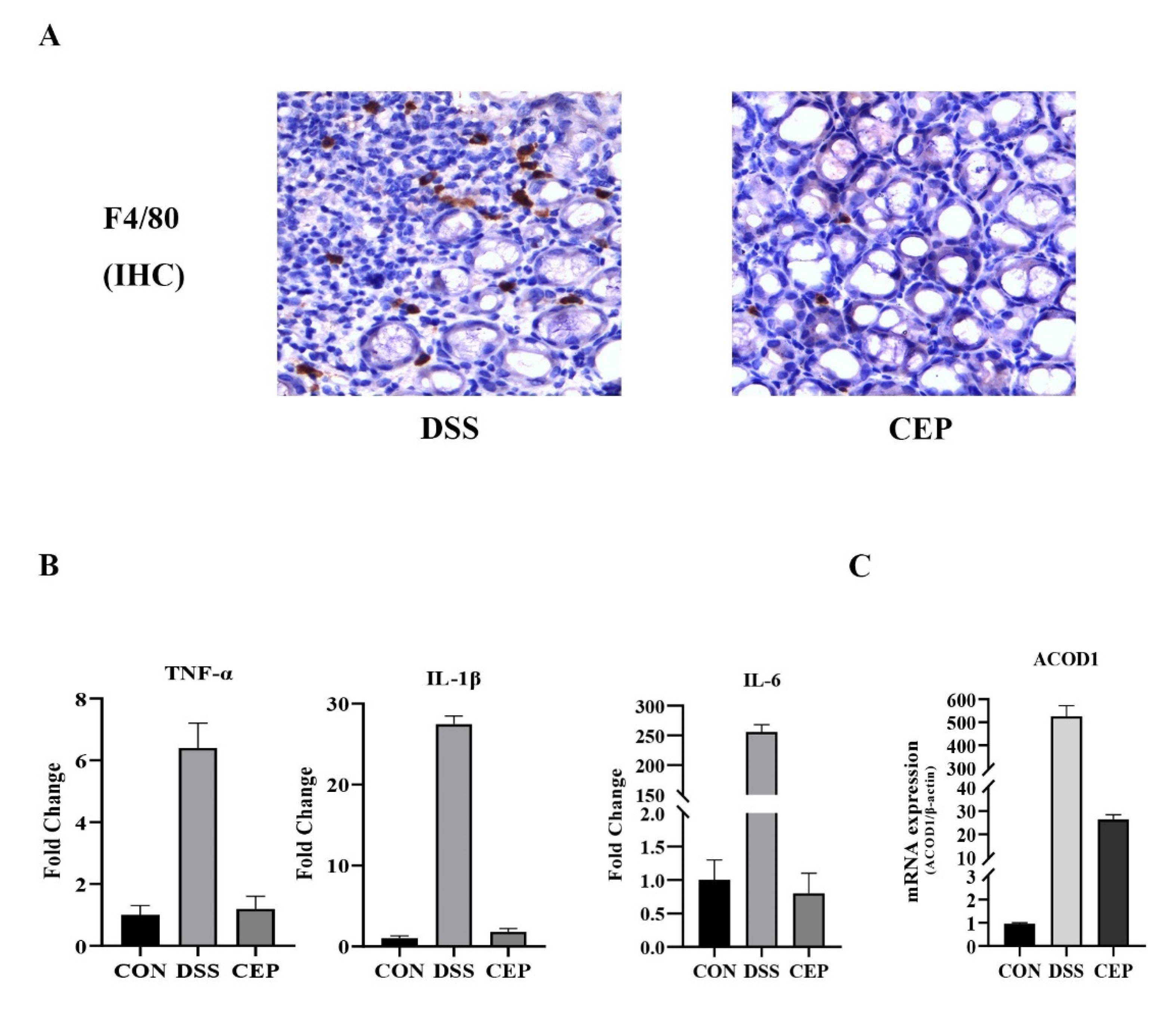 Molecules 28 01060 g003