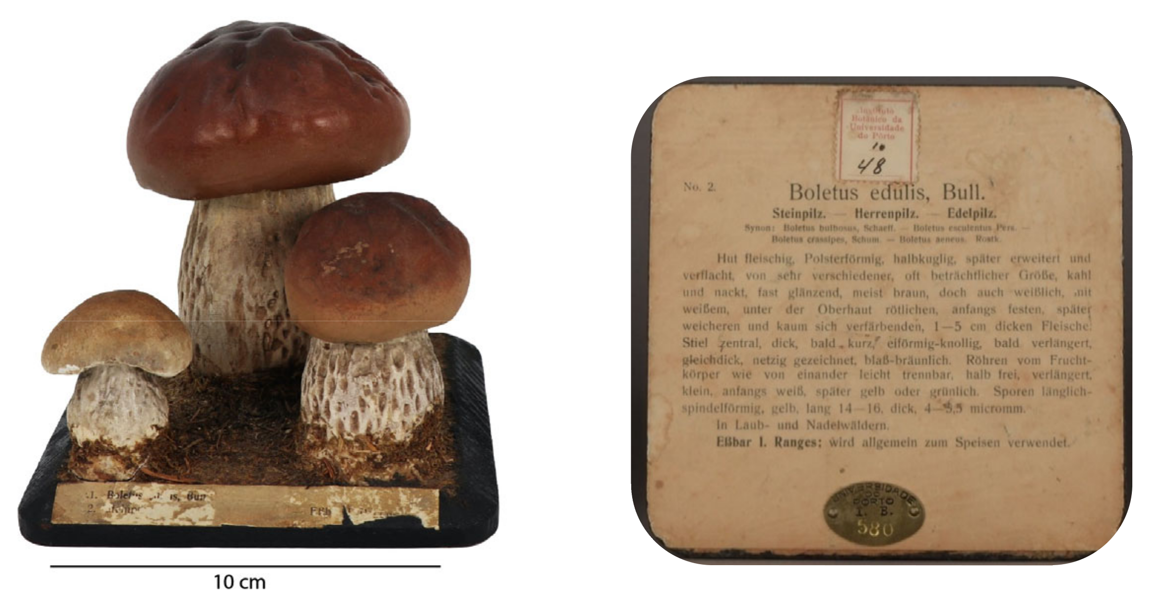 Molecules 28 01062 g001 Molecules 28 01062 g001