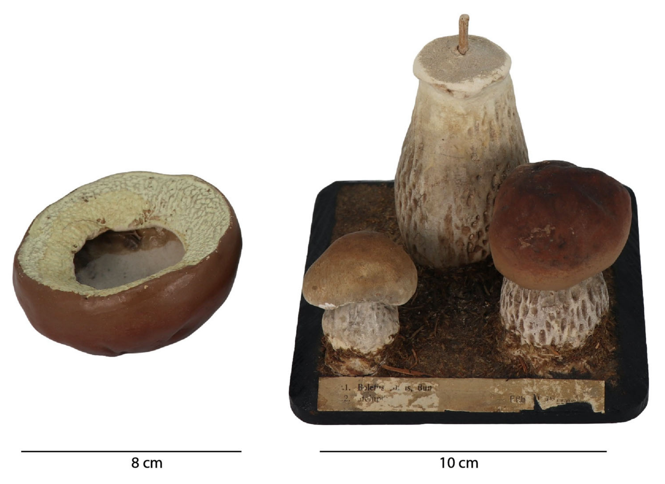 Molecules 28 01062 g002 Molecules 28 01062 g002