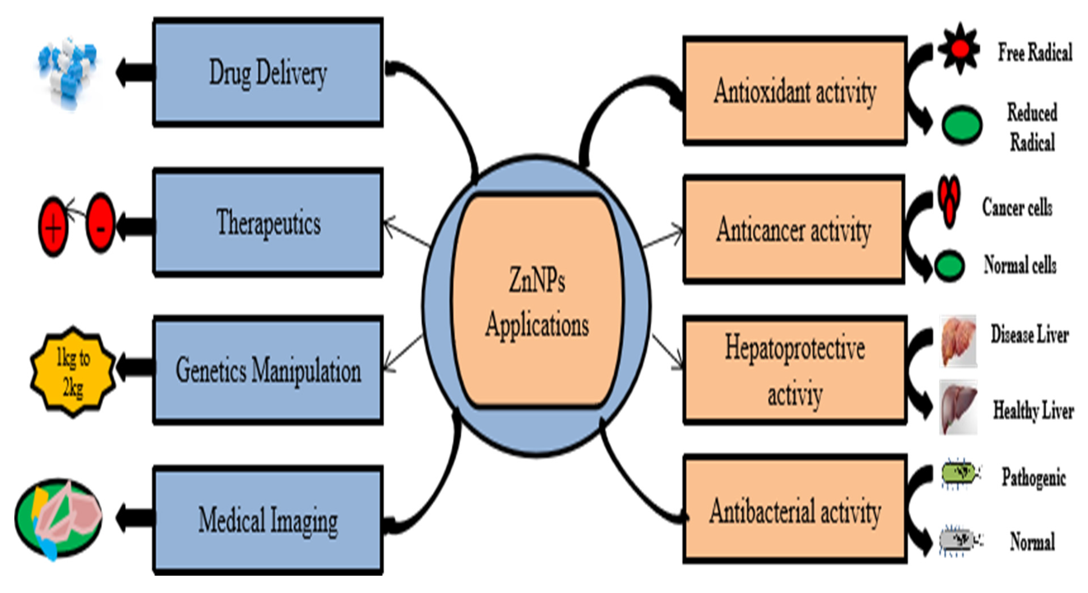 Molecules 28 01064 g002