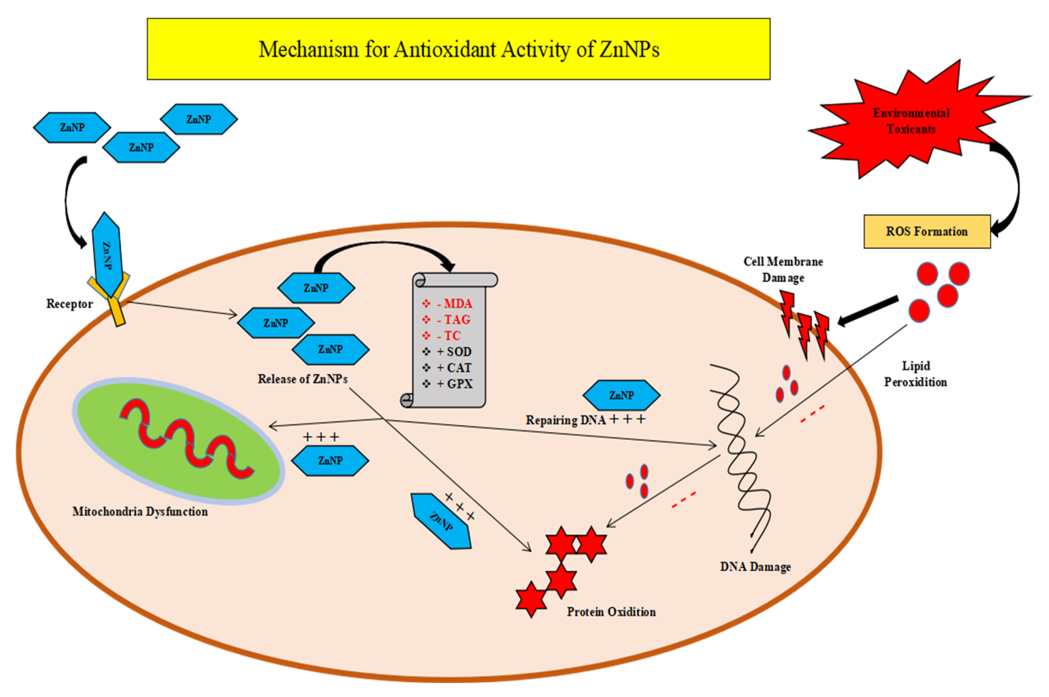 Molecules 28 01064 g003