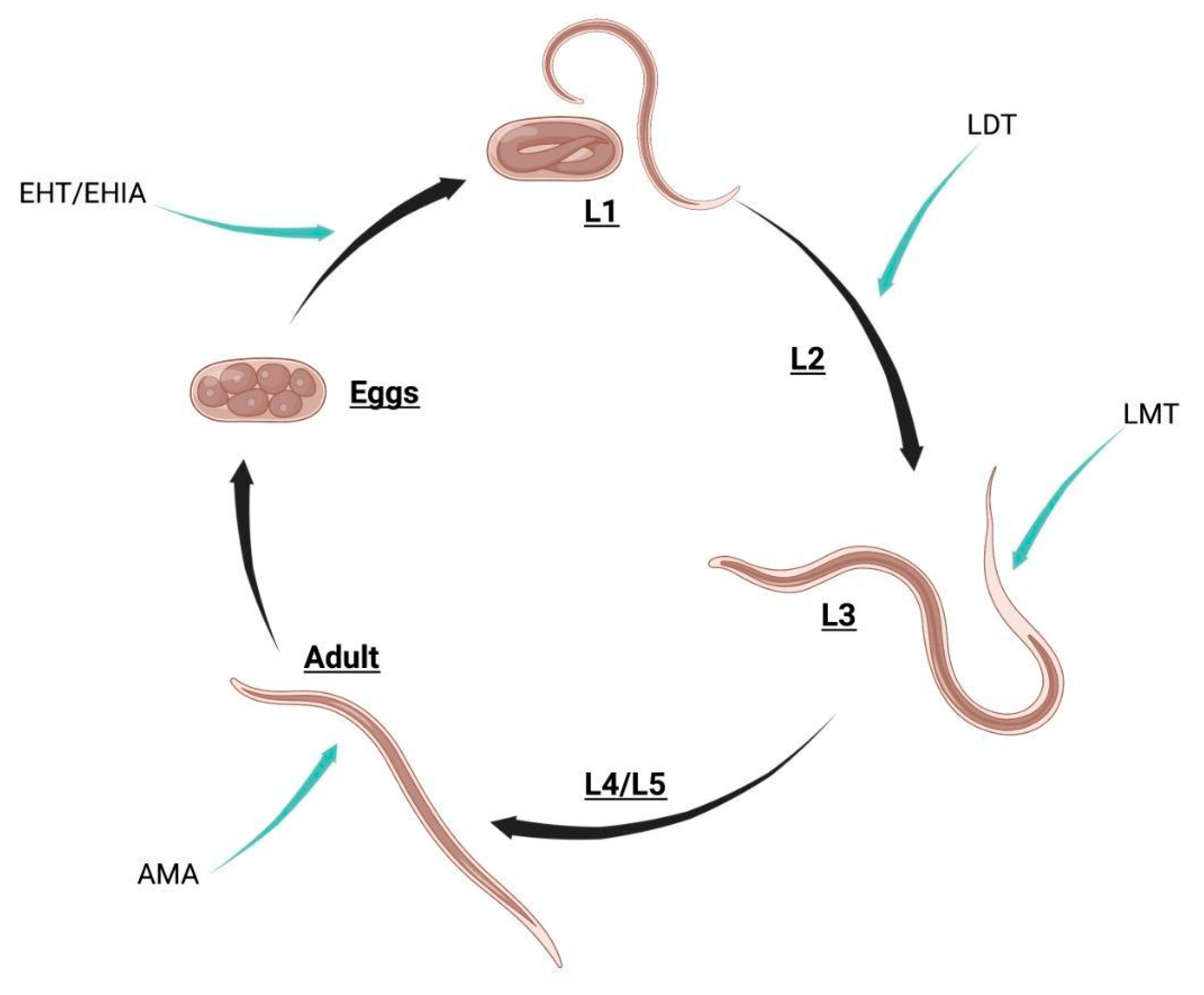 Molecules 28 01068 g004