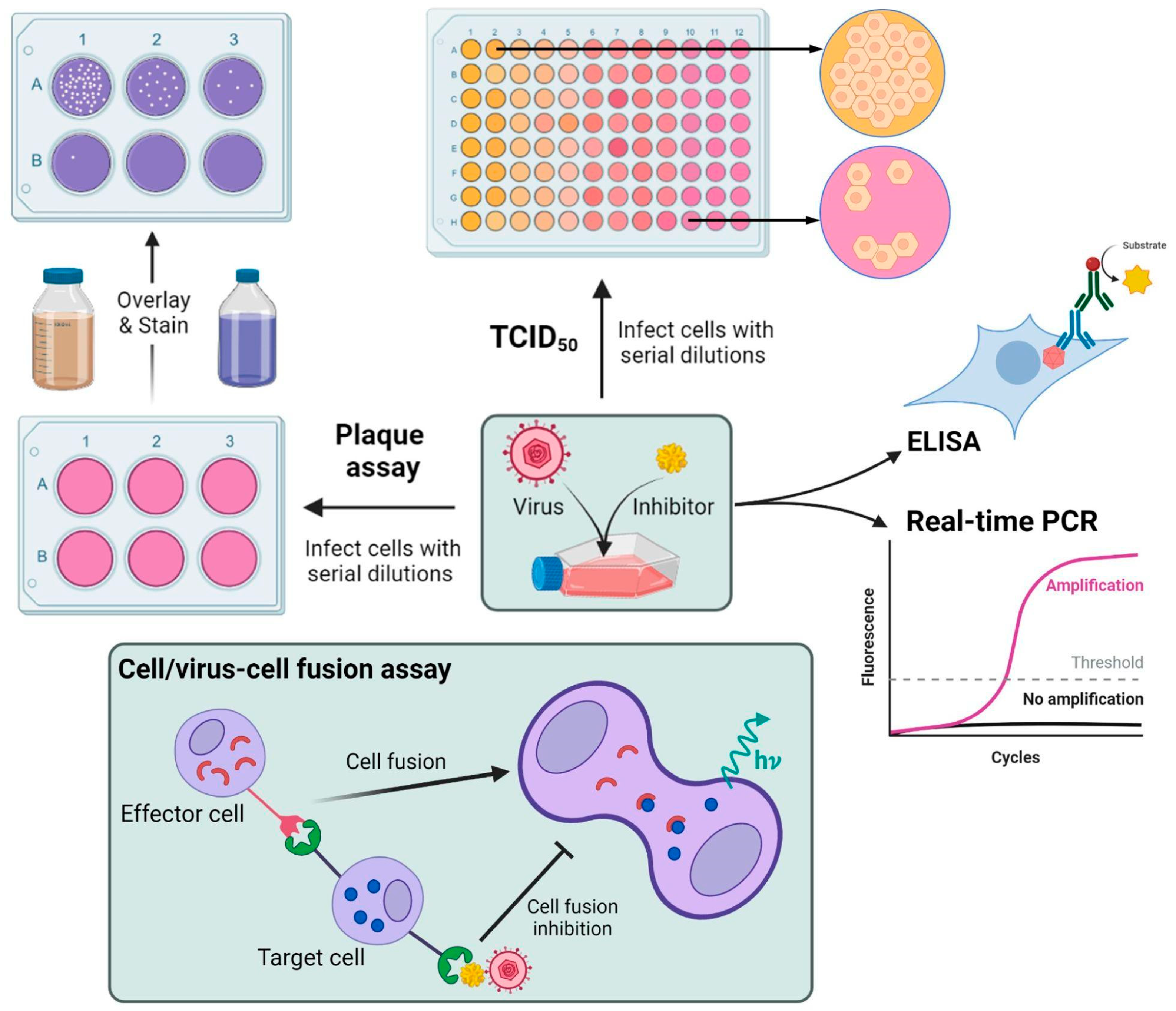 Molecules 28 01068 g005