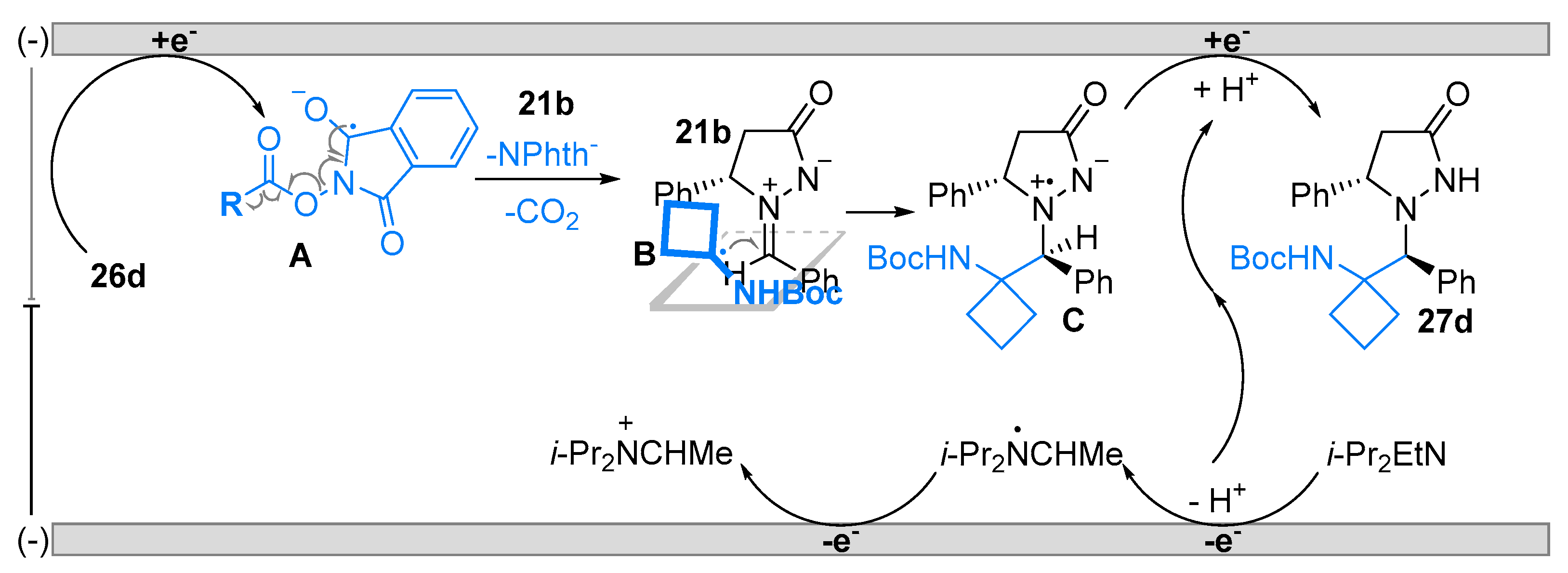 Molecules 28 01071 sch024