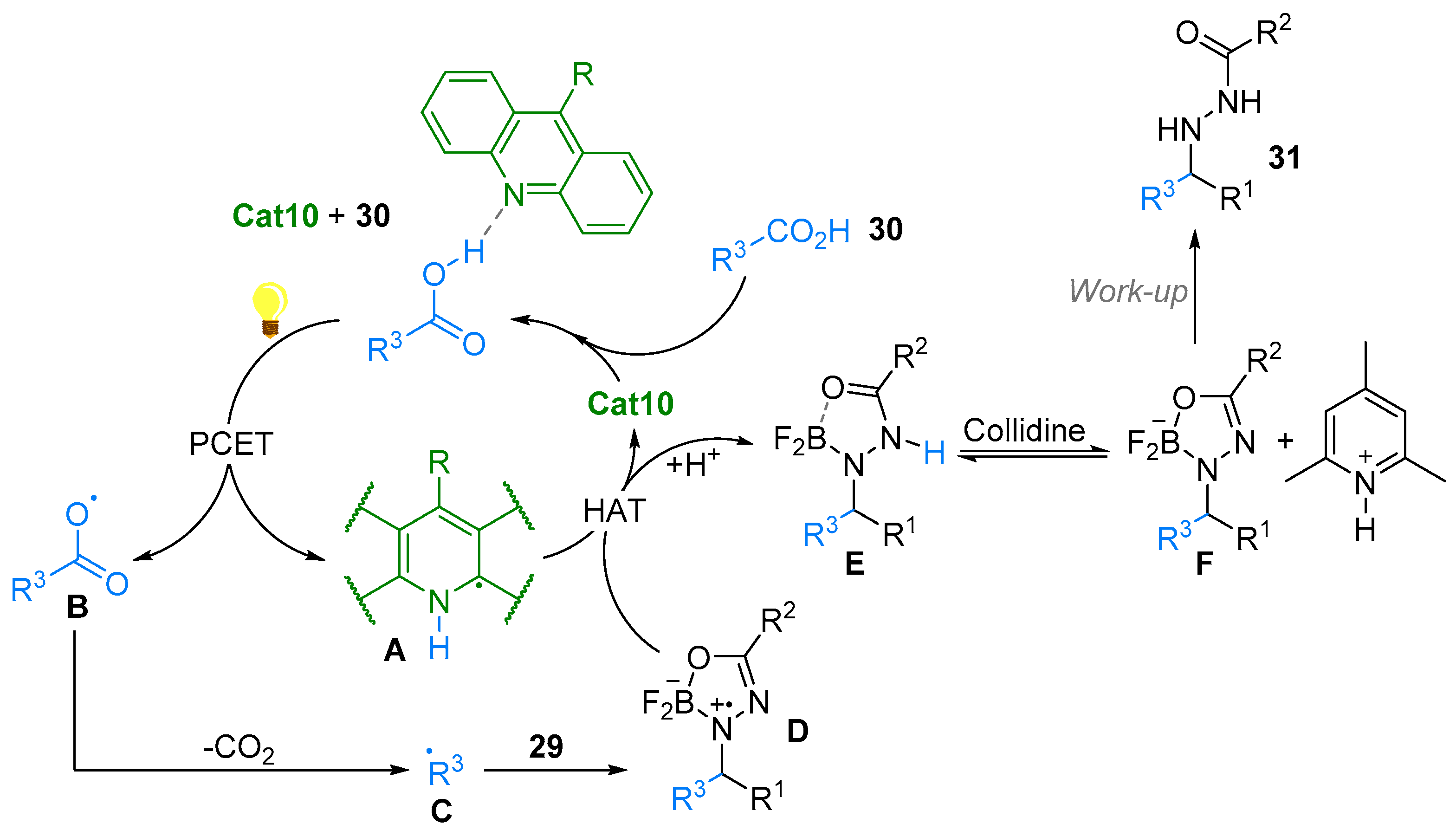 Molecules 28 01071 sch026