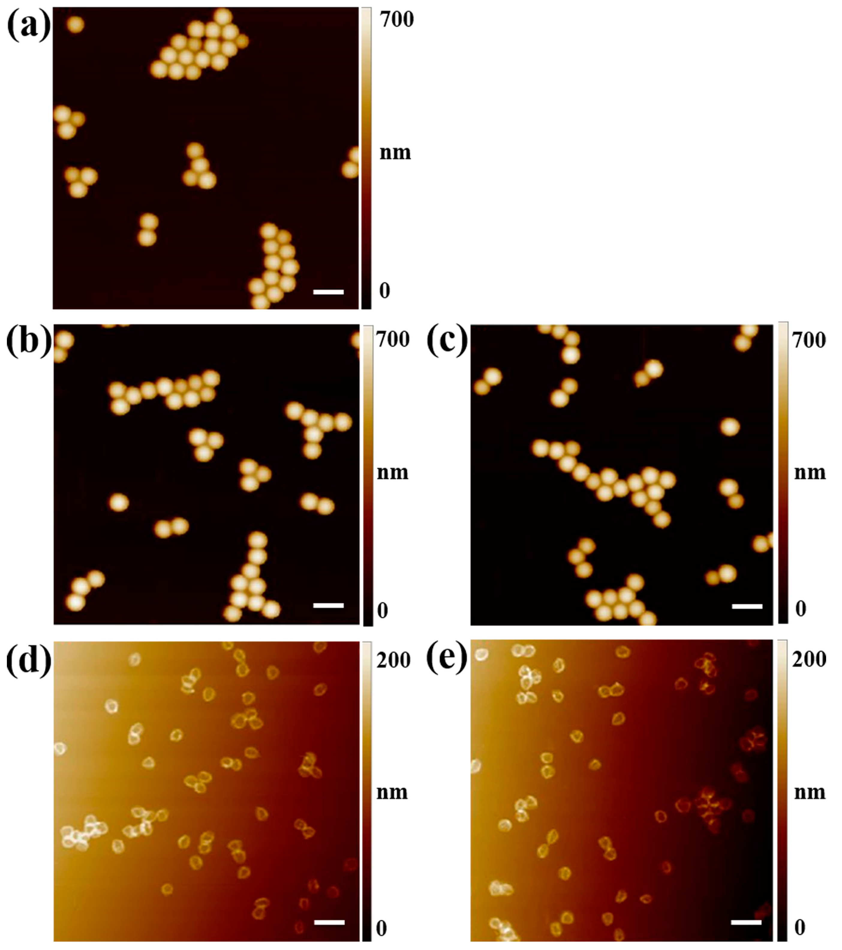 Molecules 28 01077 g001