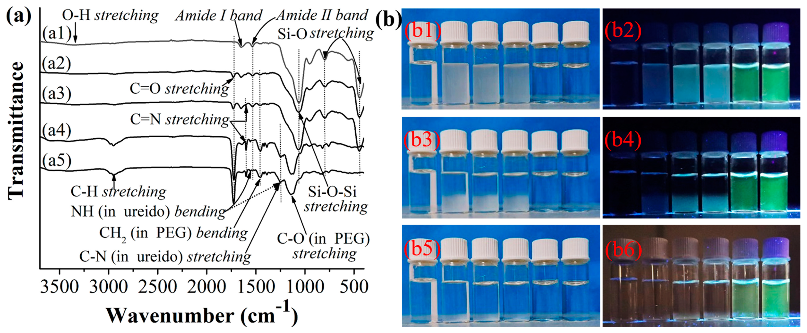 Molecules 28 01077 g002