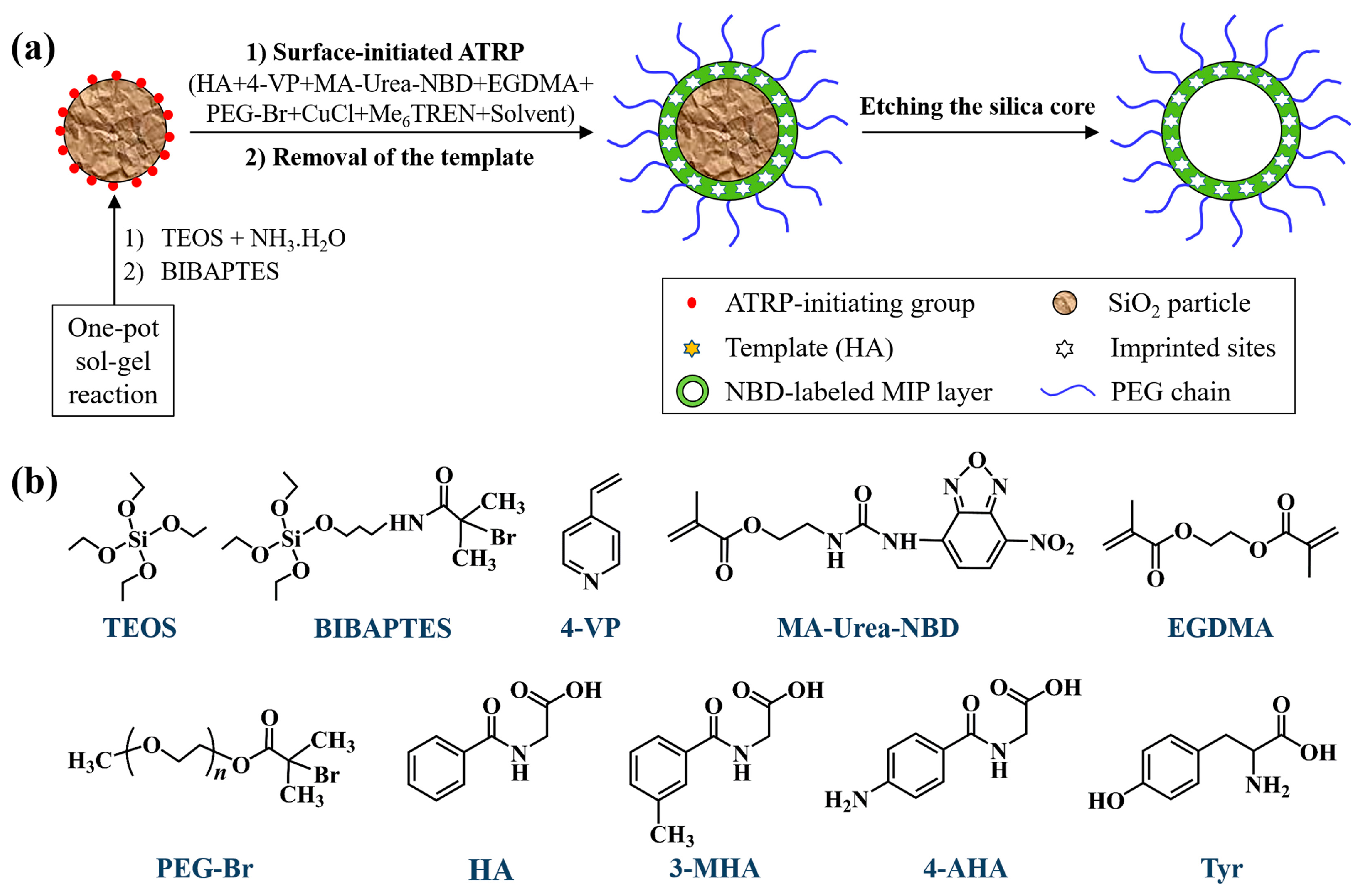 Molecules 28 01077 sch001