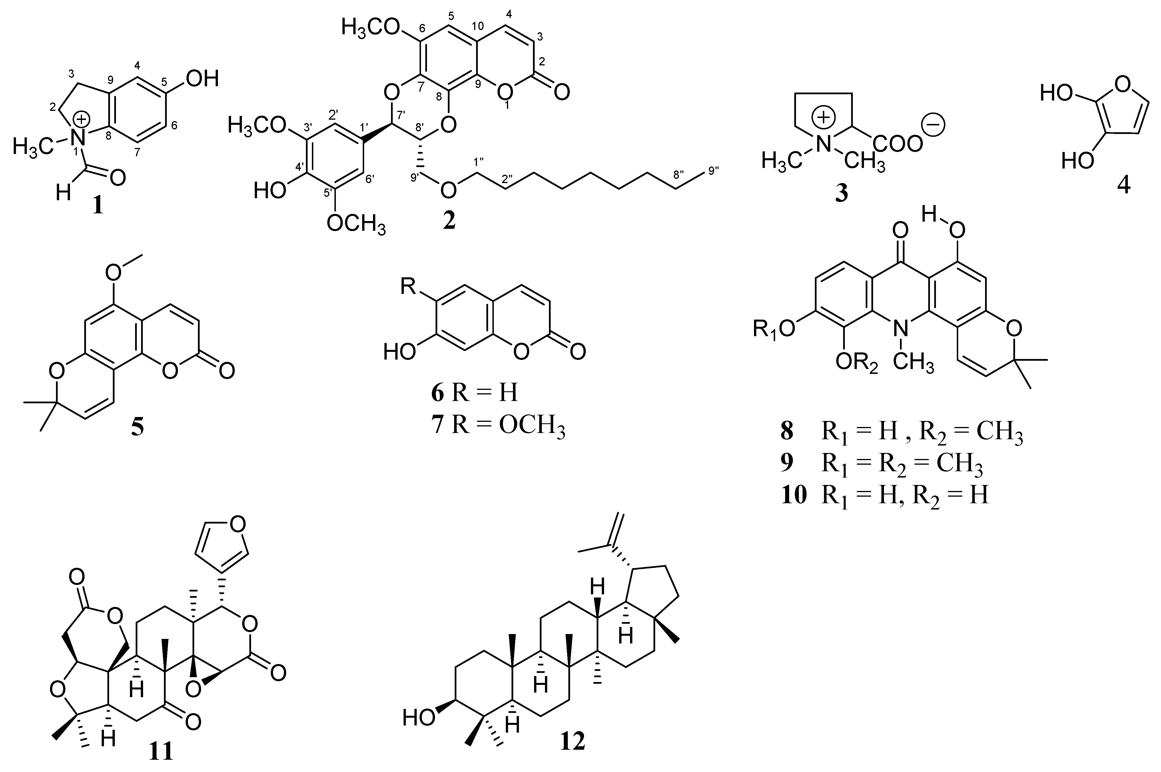 Molecules 28 01078 g001